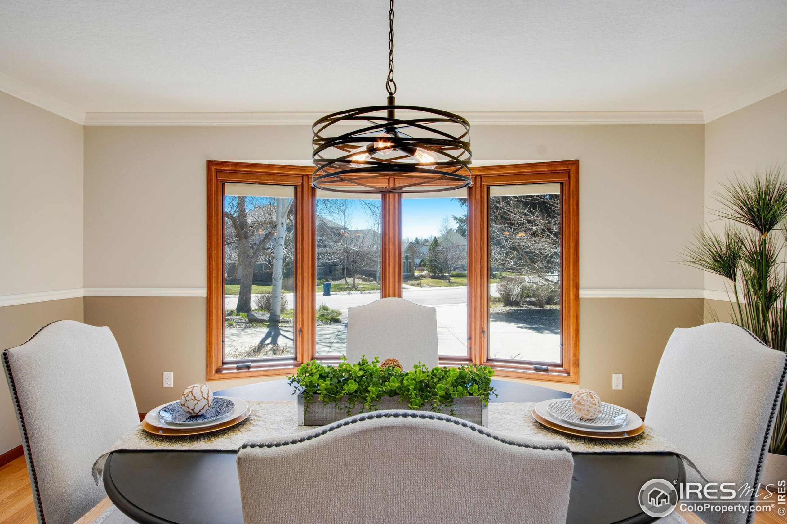 4143 Harbor Walk Dr, Fort Collins CO  80525-4855 exterior