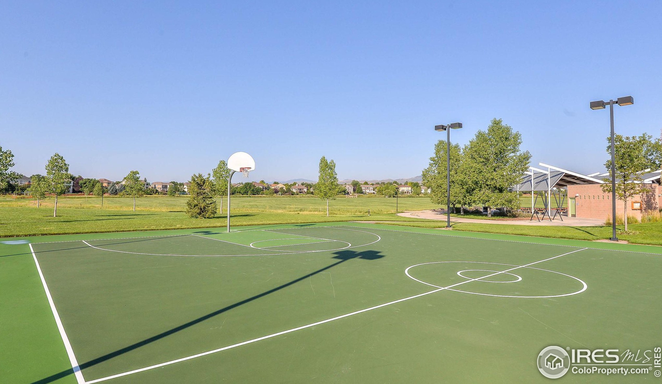 6721 Antigua Dr, Fort Collins CO  80525-9417 exterior