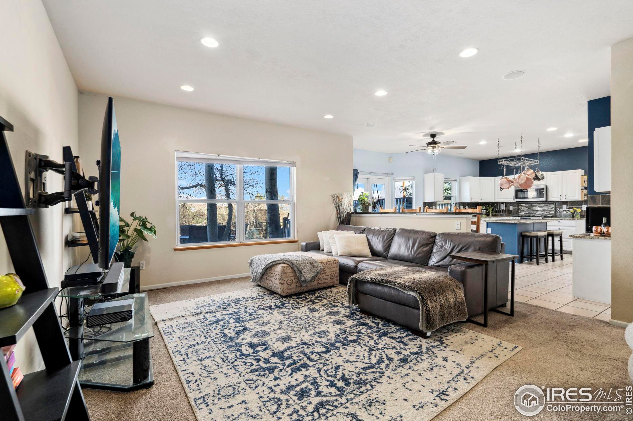 5421 Golden Willow Dr, Fort Collins CO  80528-6396 exterior