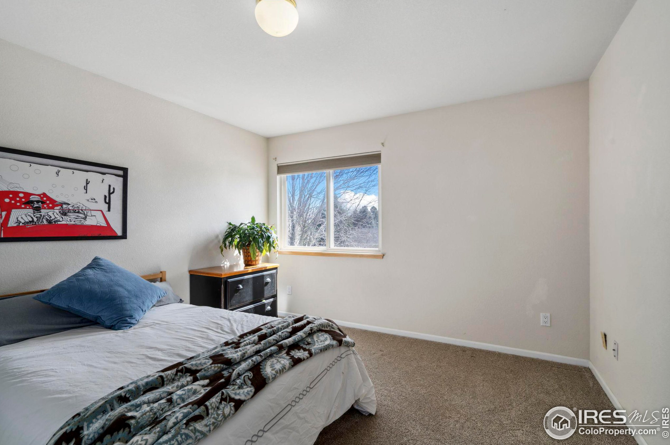 5421 Golden Willow Dr, Fort Collins CO  80528-6396 exterior