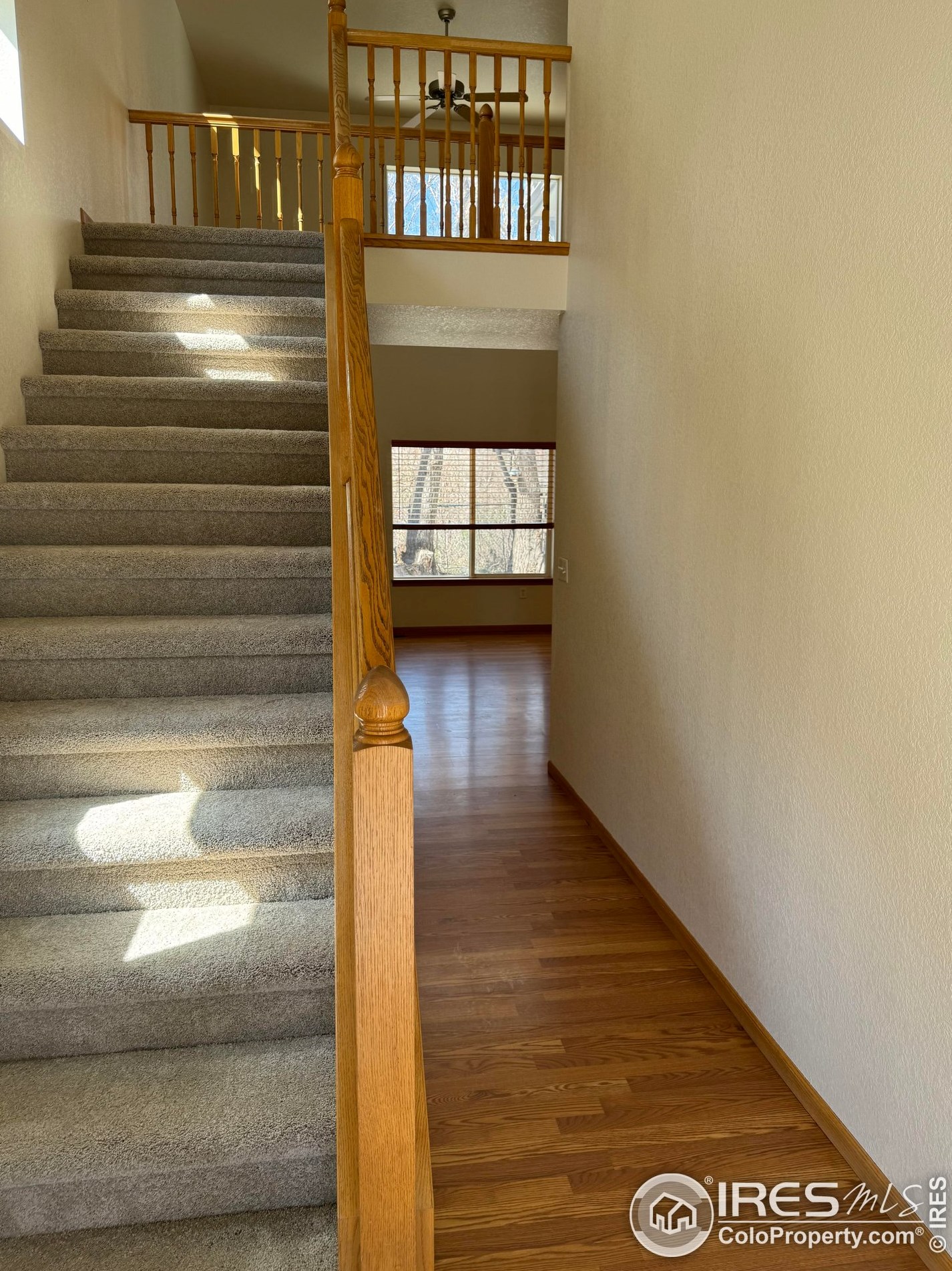 2296 Lily Dr, Loveland, CO 80537