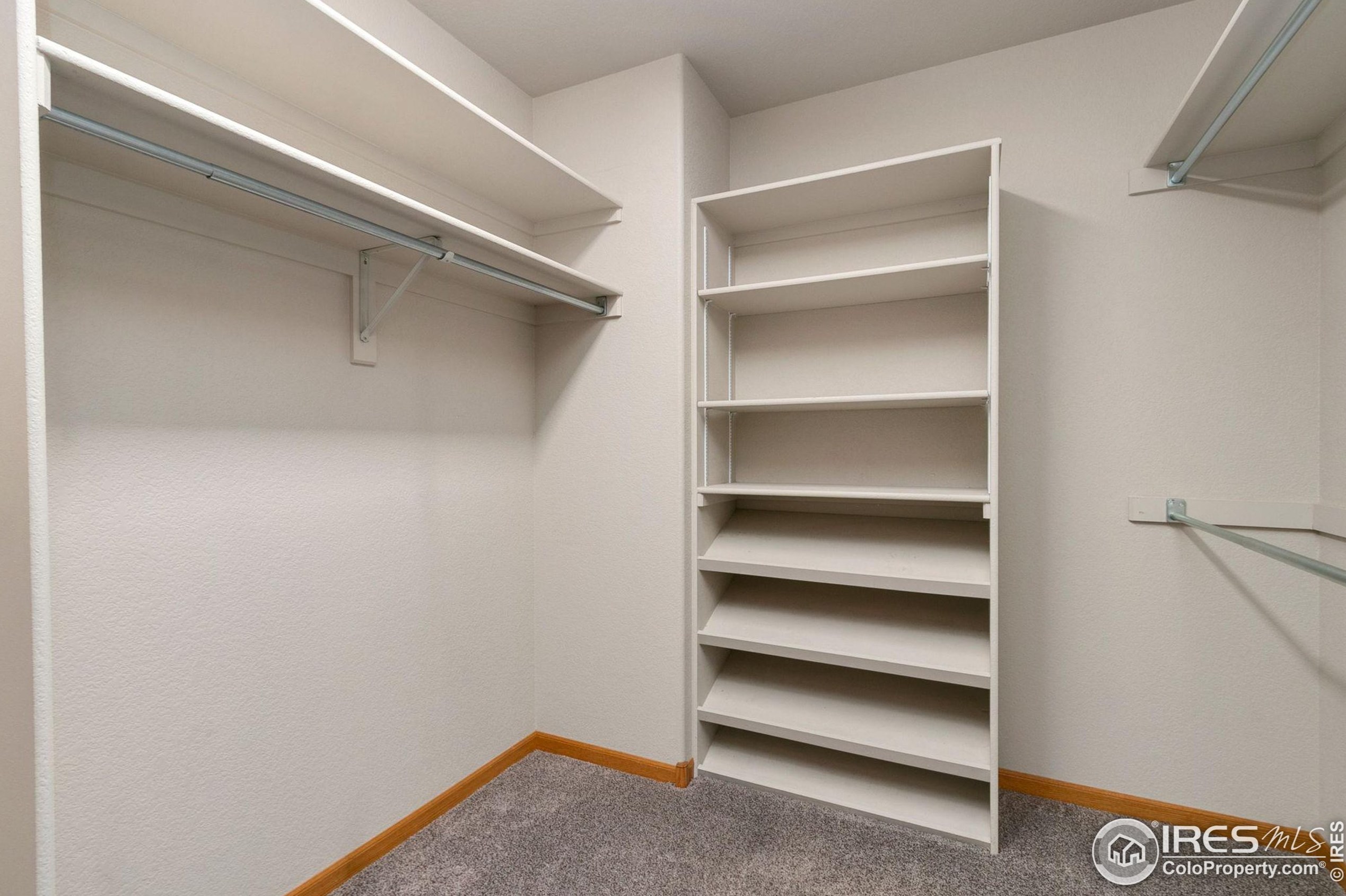 3982 Blackstone Ct, Loveland CO exterior