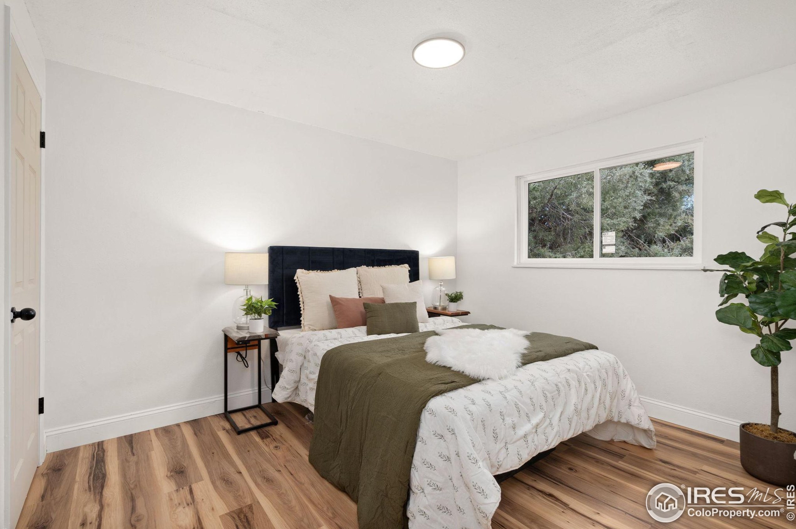 1309 Brookfield Dr, Longmont CO  80501-6706 exterior