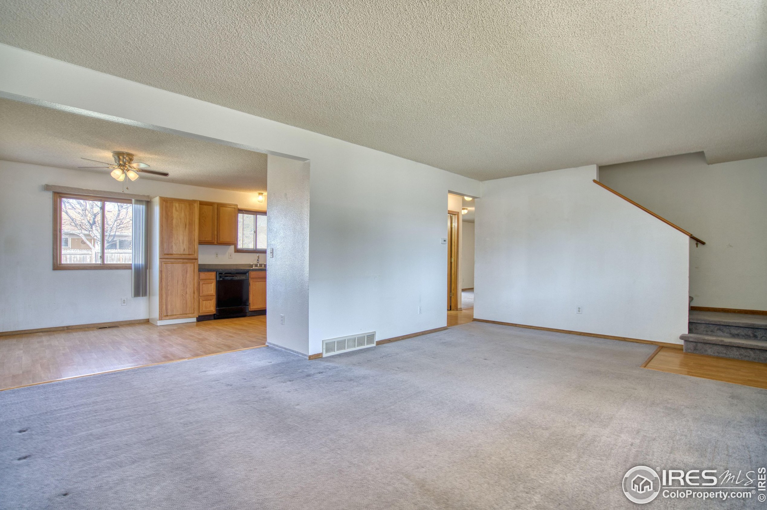 3401 White Ash Ct, Loveland, CO 80538