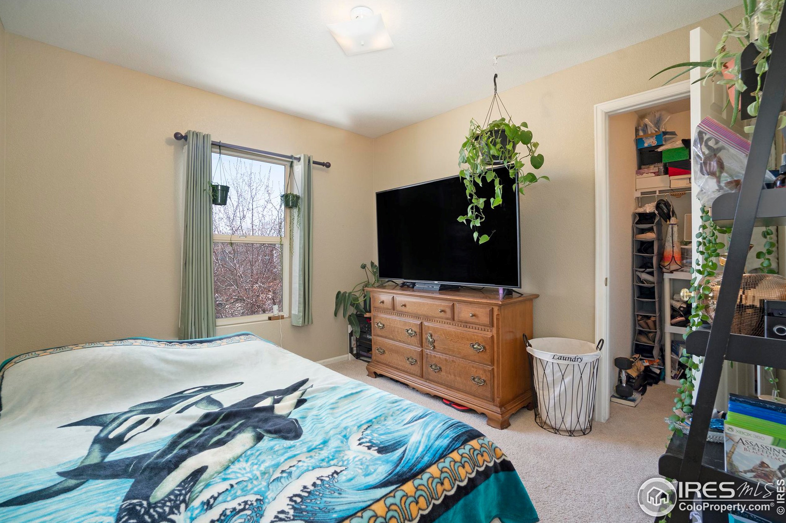 1884 Dove Creek Cir, Loveland CO  80538-5399 exterior