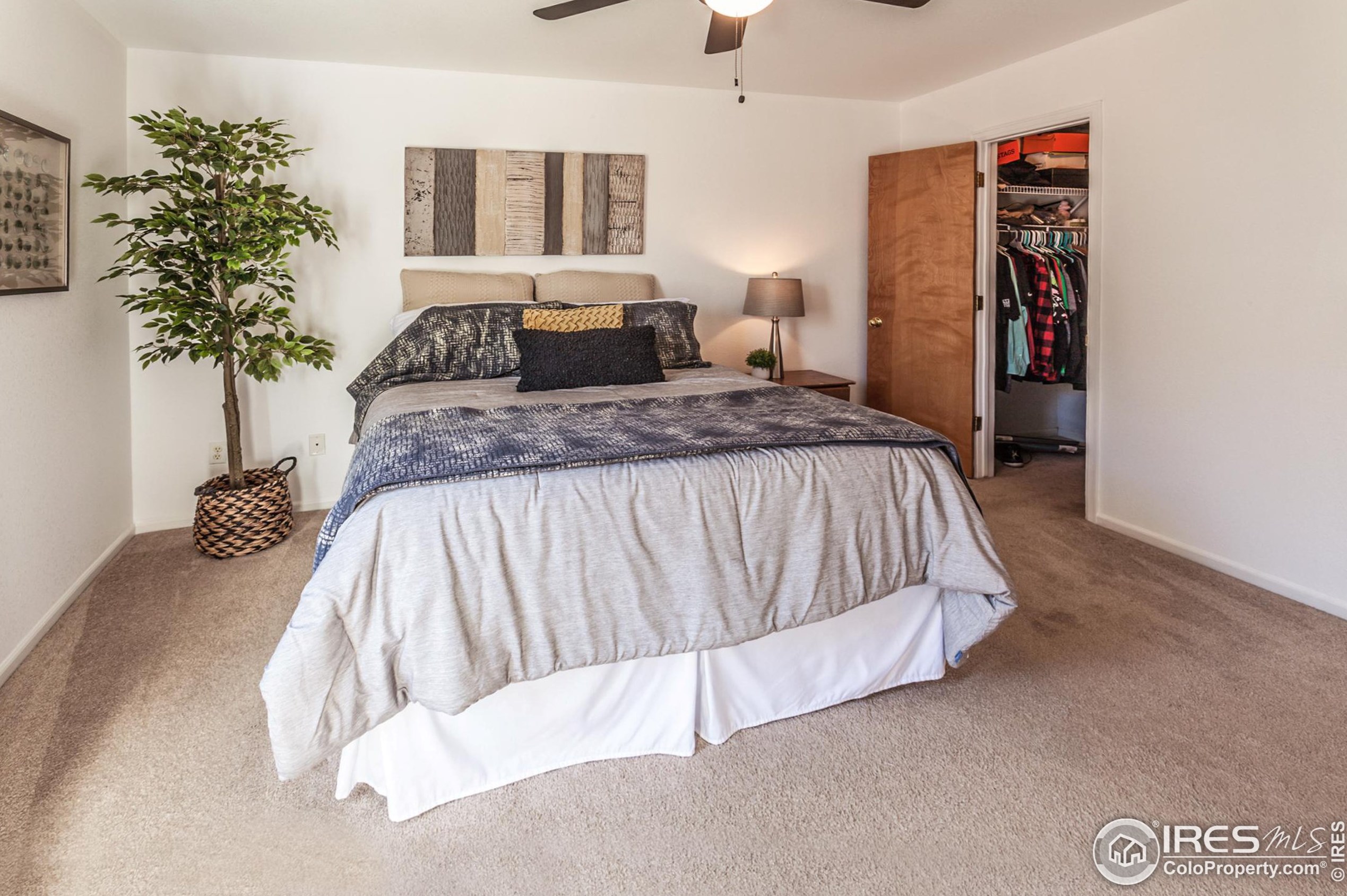 608 Meadow Dr, Fort Collins CO  80550-5739 exterior