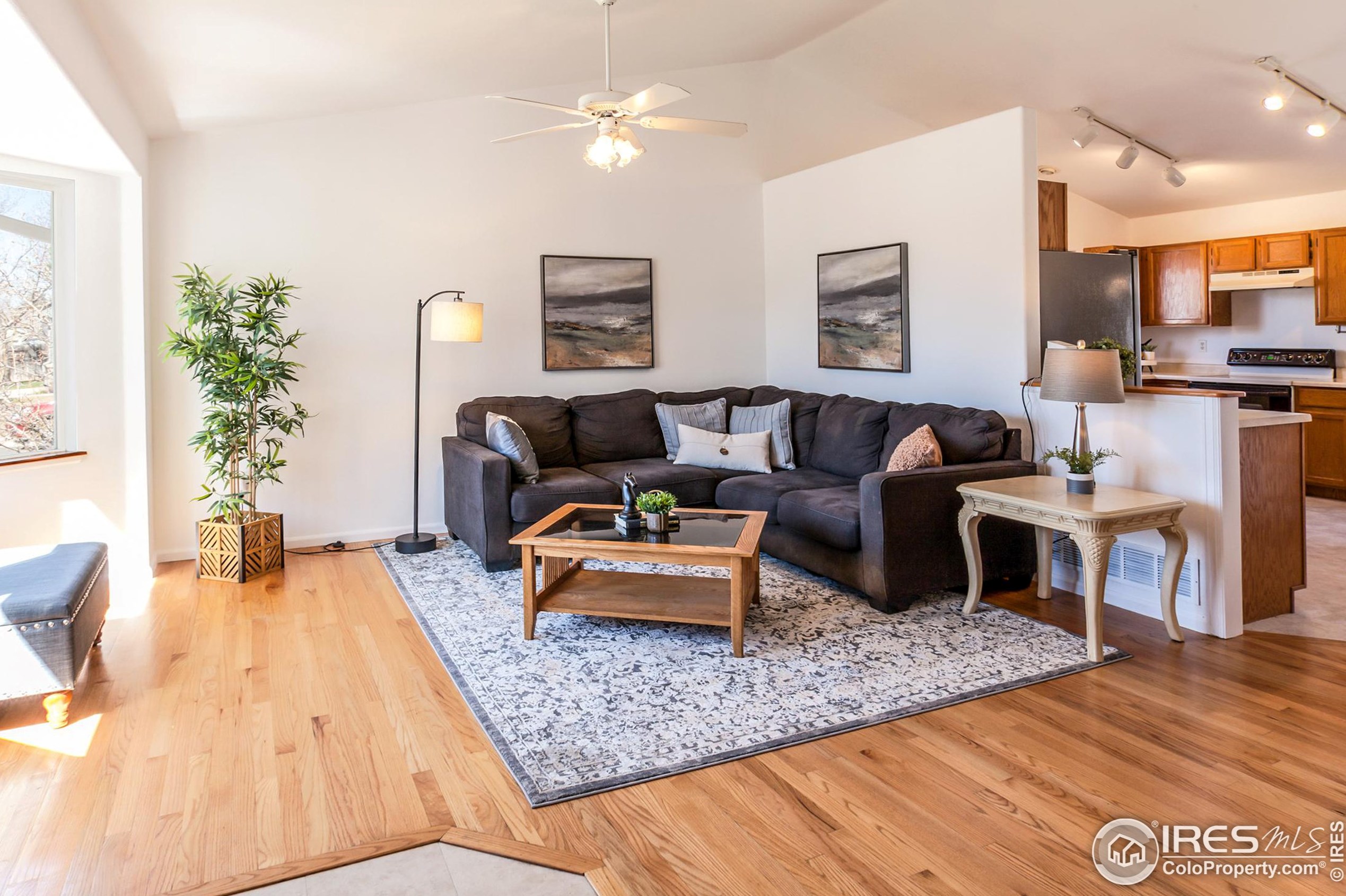 608 Meadow Dr, Fort Collins CO  80550-5739 exterior
