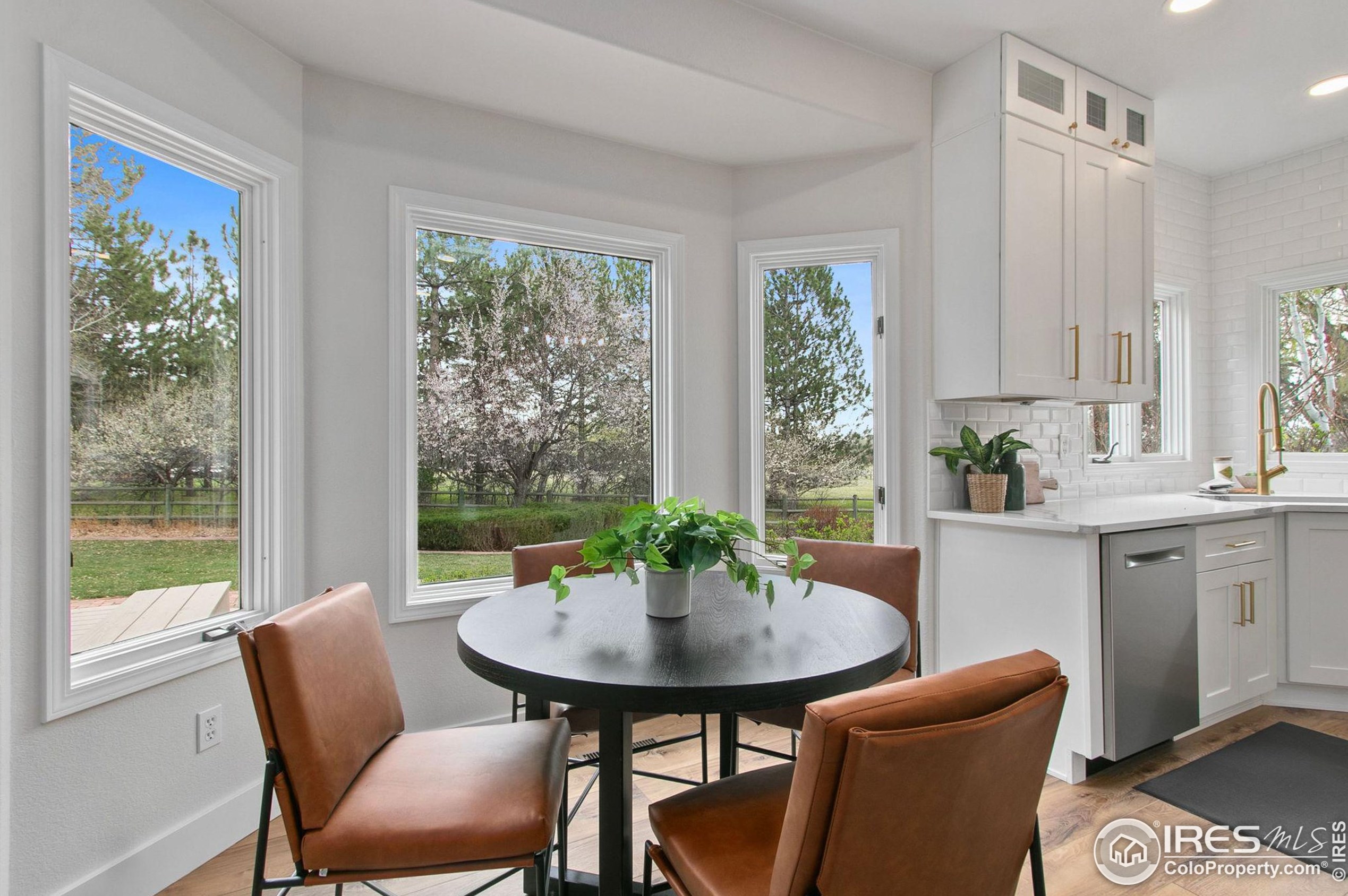 604 Hinsdale Ct, Fort Collins CO  80526-3933 exterior