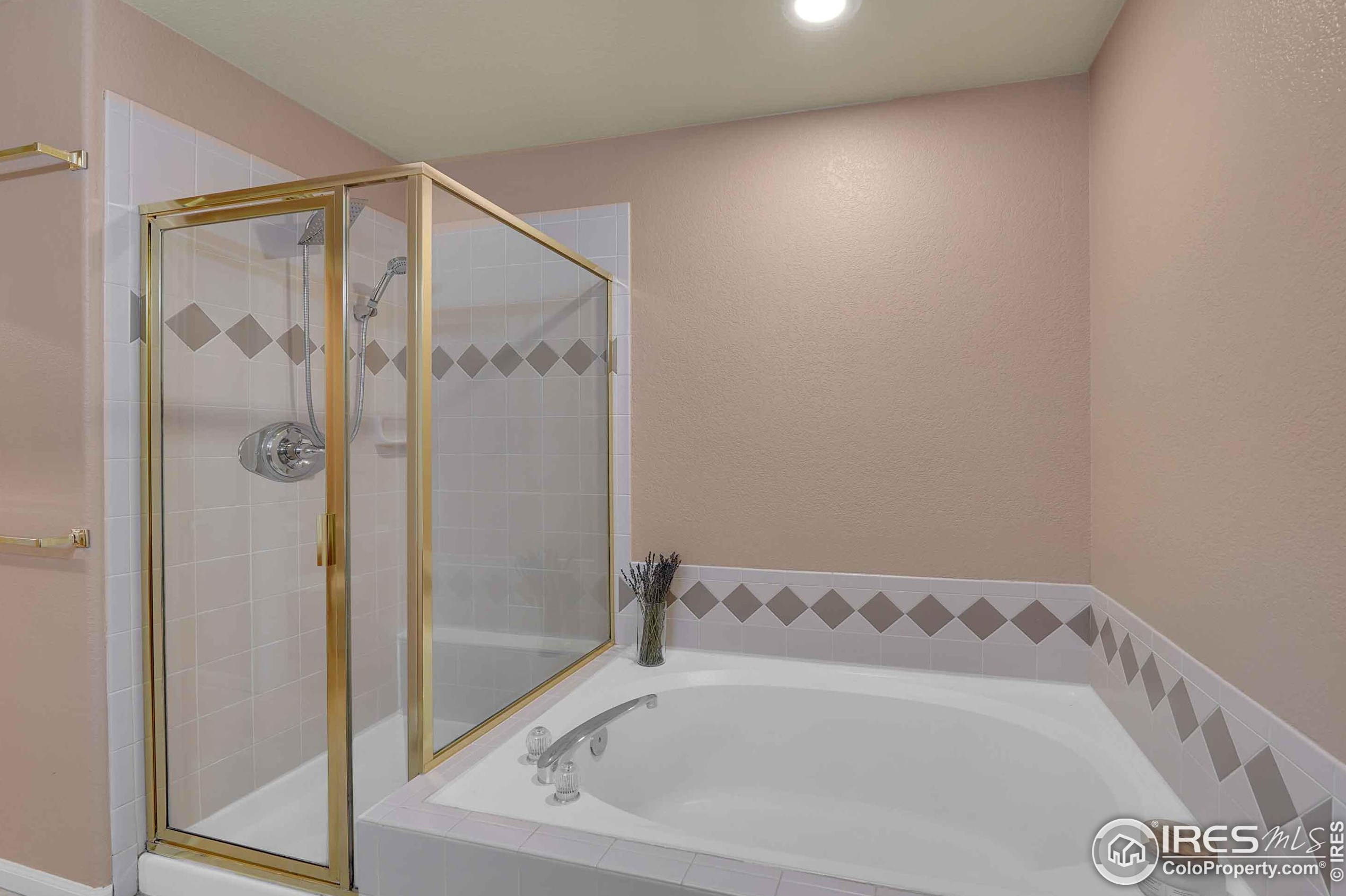 9617 Independence Dr, Westminster CO  80021-6843 exterior