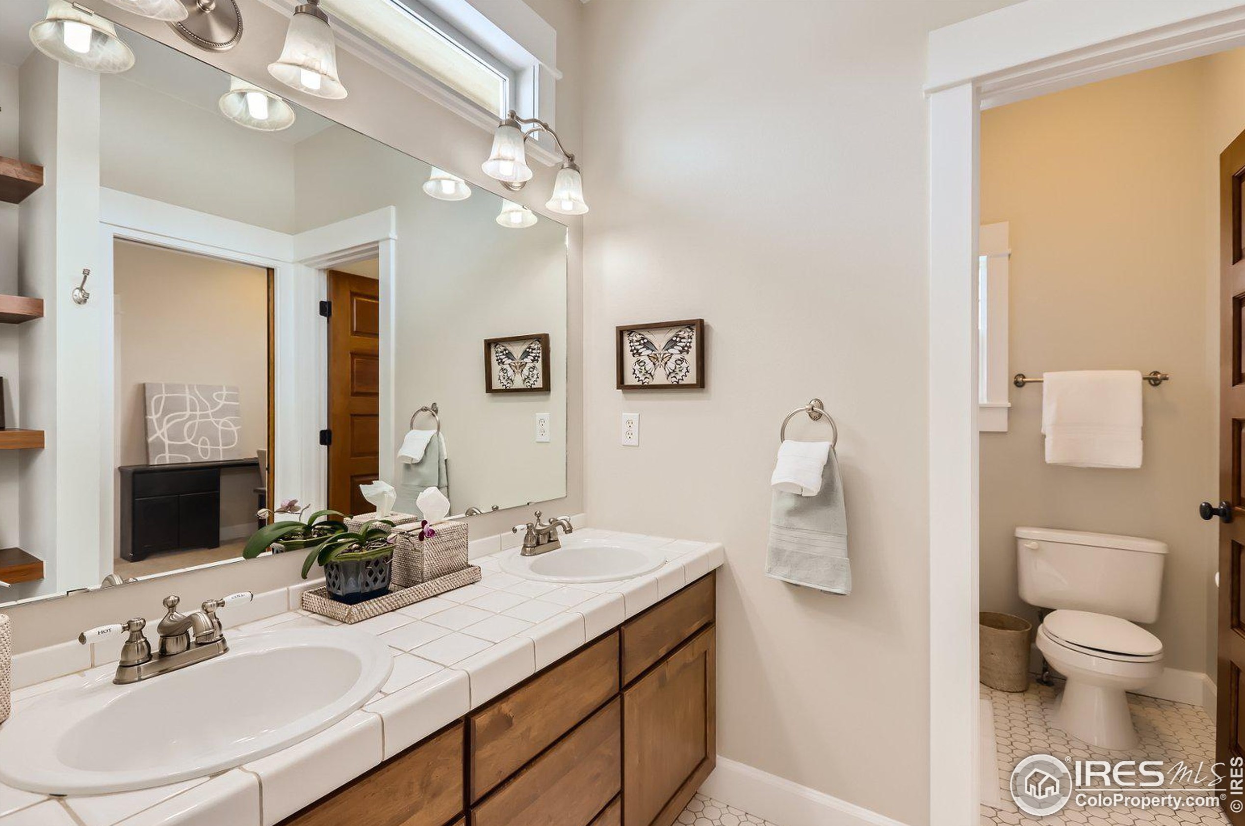 1283 Hilltop Cir, Fort Collins CO  80550-3336 exterior