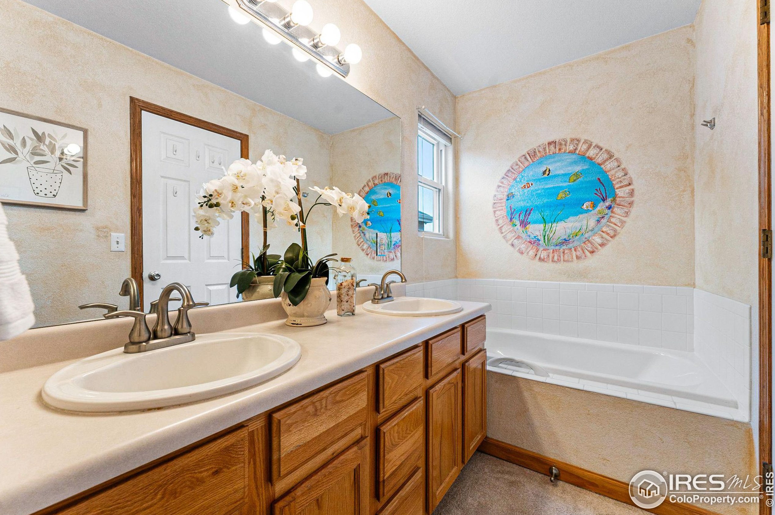 1006 Canyon Dr, Fort Collins CO  80550-5772 exterior
