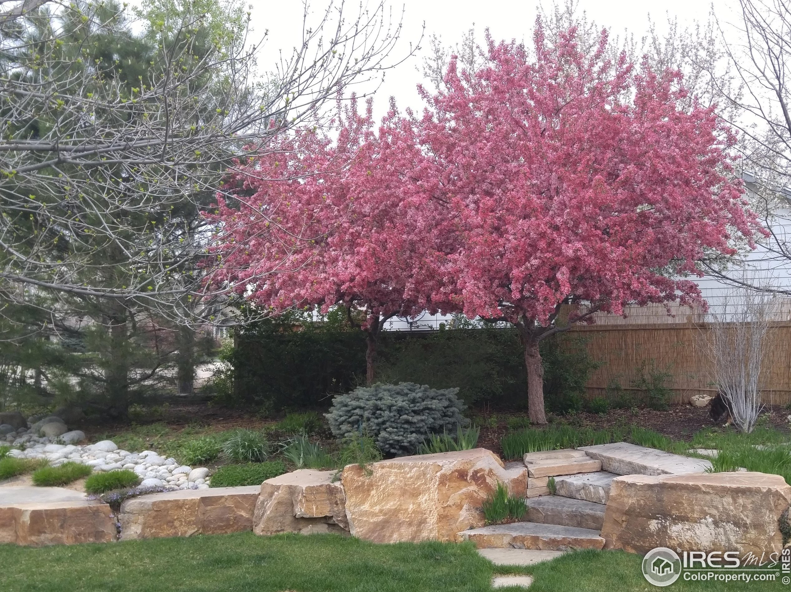 1715 Uncompahgre Dr, Loveland CO 80538-7248 exterior