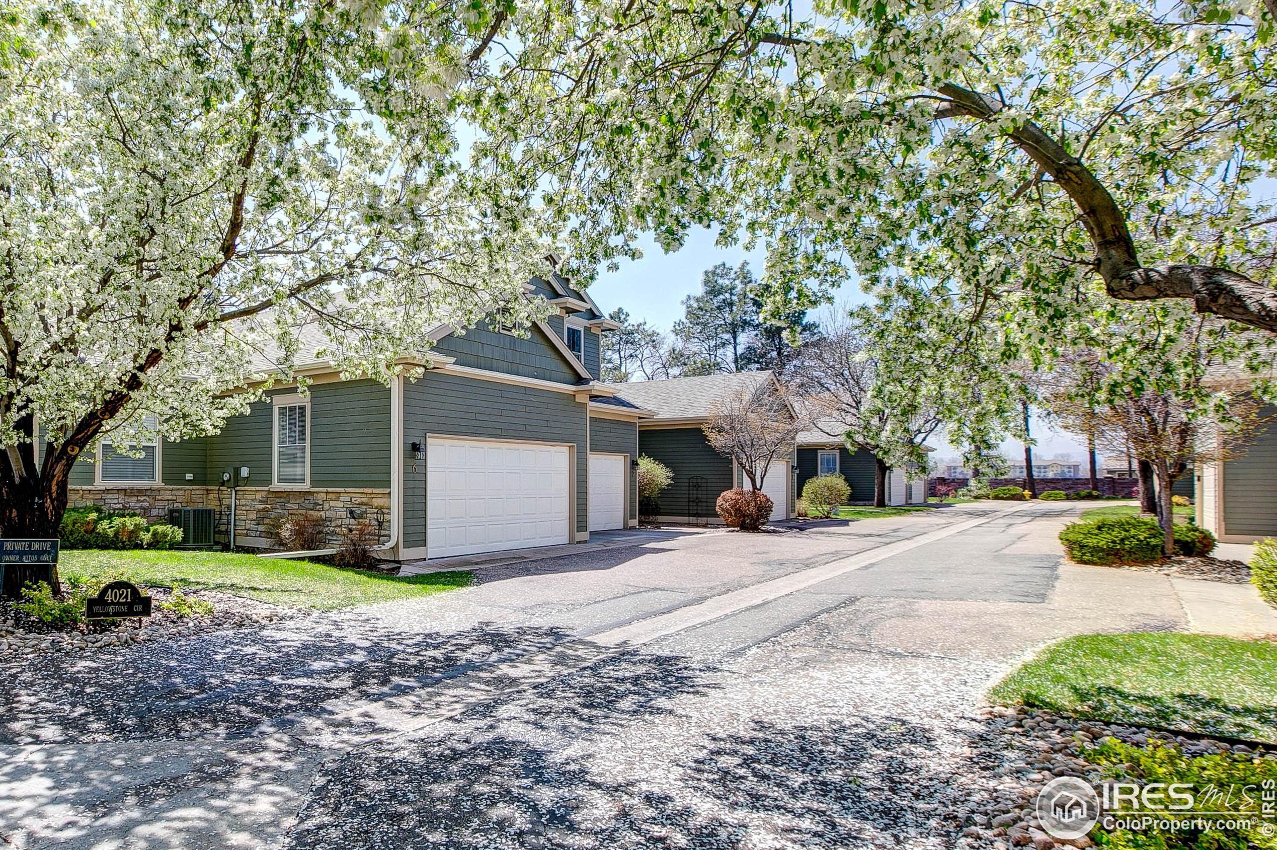 4021 Yellowstone Cir, Fort Collins, CO 80525-9061