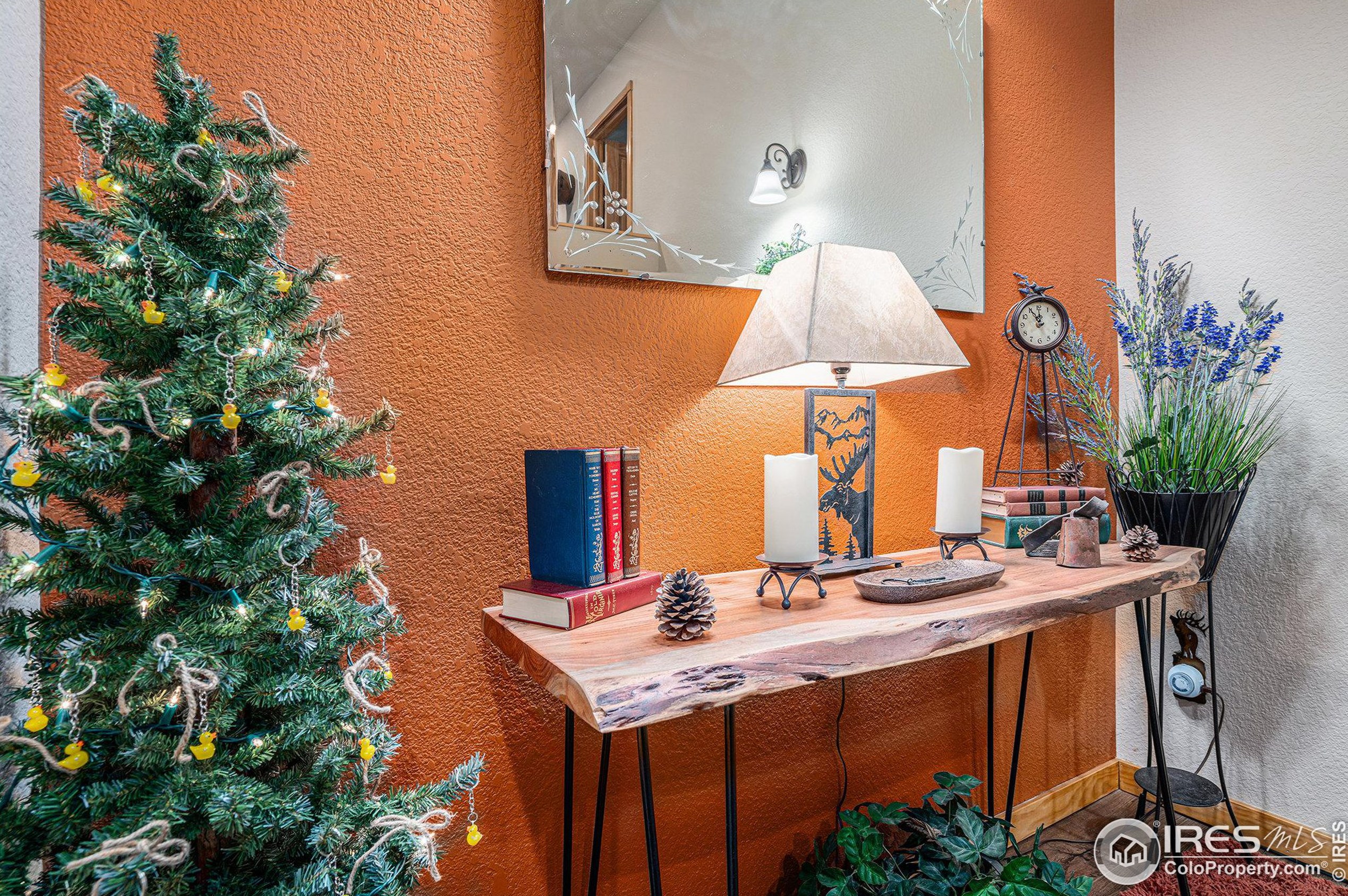 1769 Wildfire Rd, Estes Park CO 80517-9751 exterior