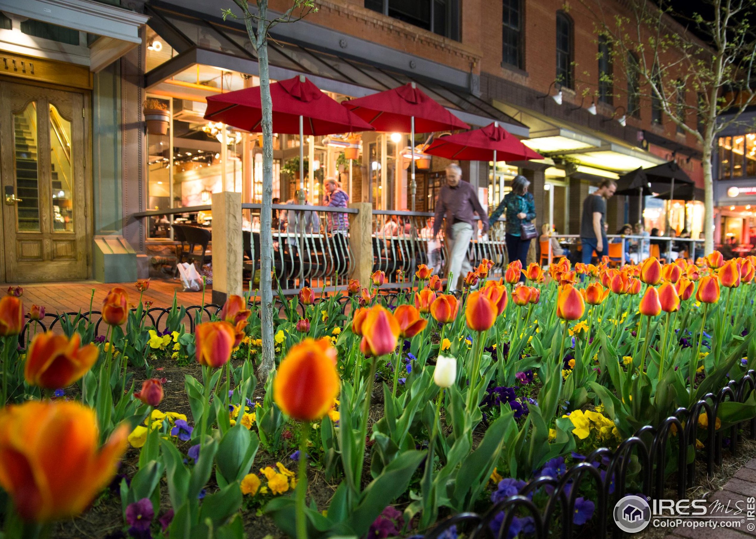 540 Pleasant St, Boulder CO  80302-7051 exterior