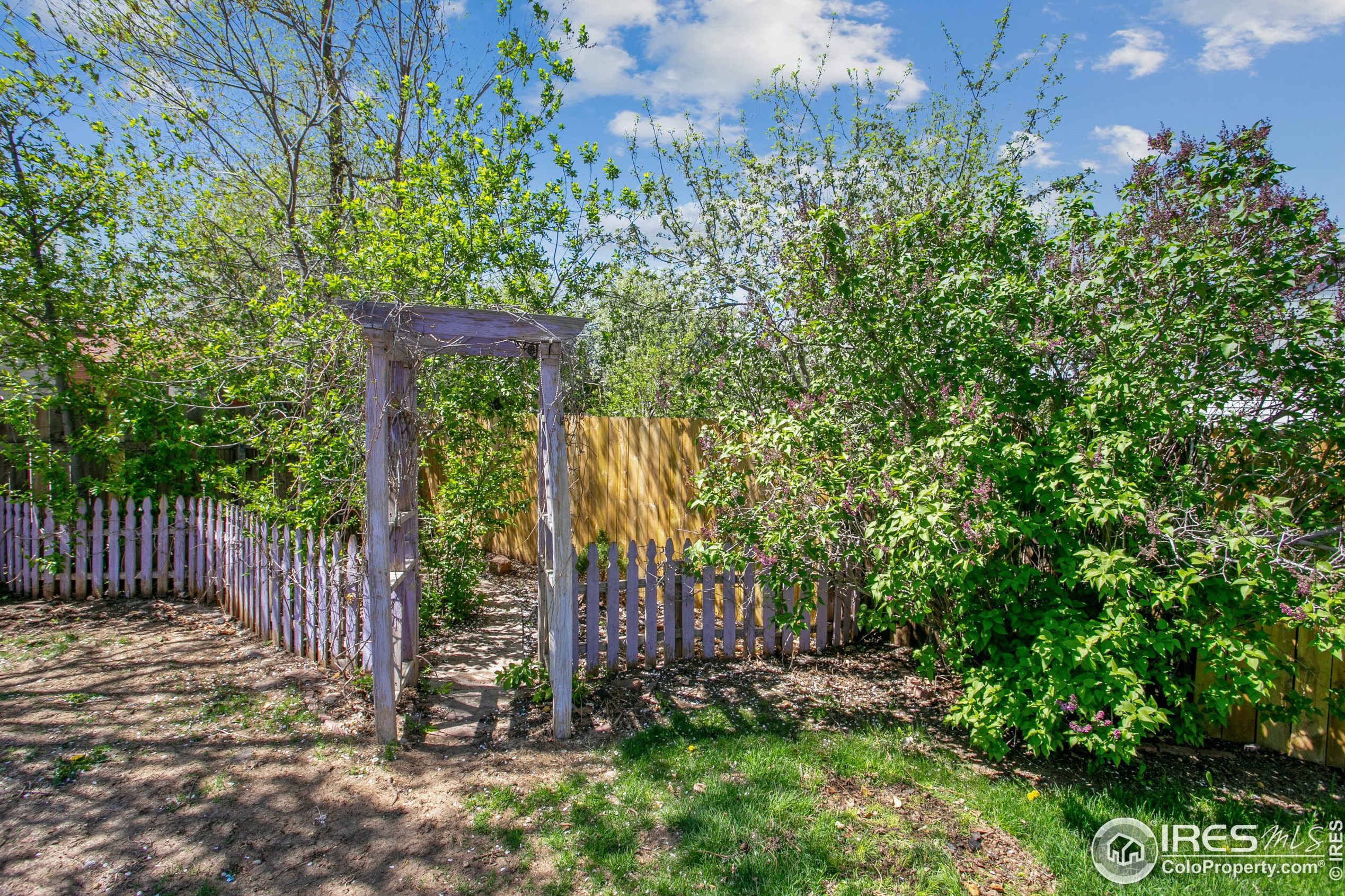 2605 Redbud Dr, Loveland CO  80538-3383 exterior