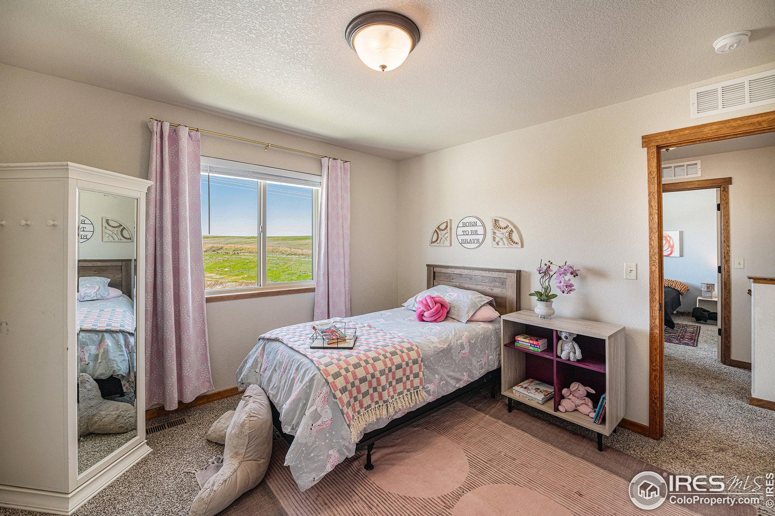 4494 Carlyle Ln, Wellington CO  80549-0023 exterior