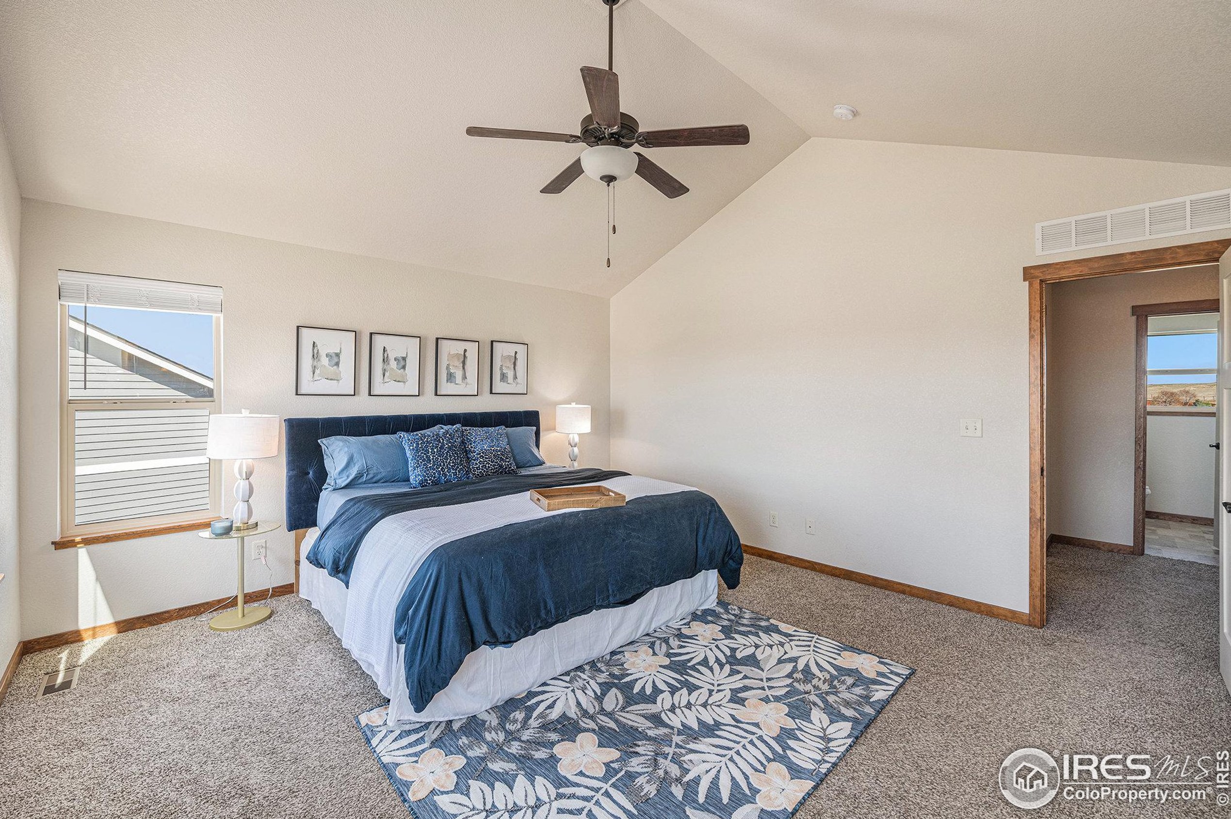 4494 Carlyle Ln, Wellington CO  80549-0023 exterior