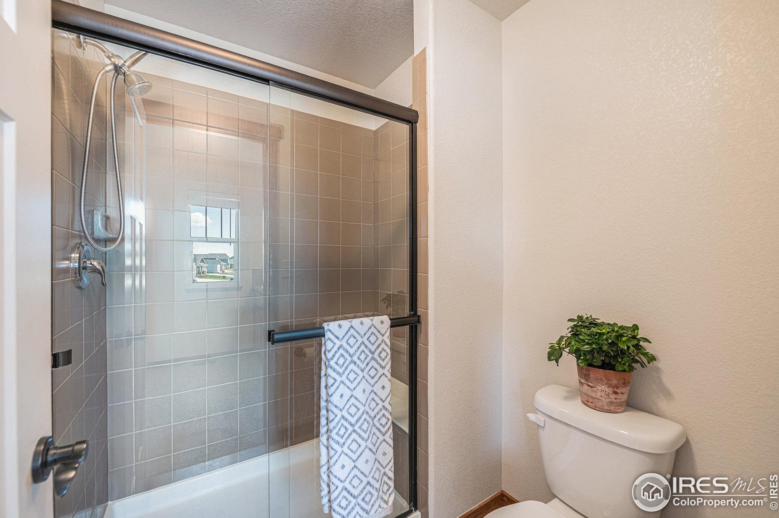 4494 Carlyle Ln, Wellington CO  80549-0023 exterior