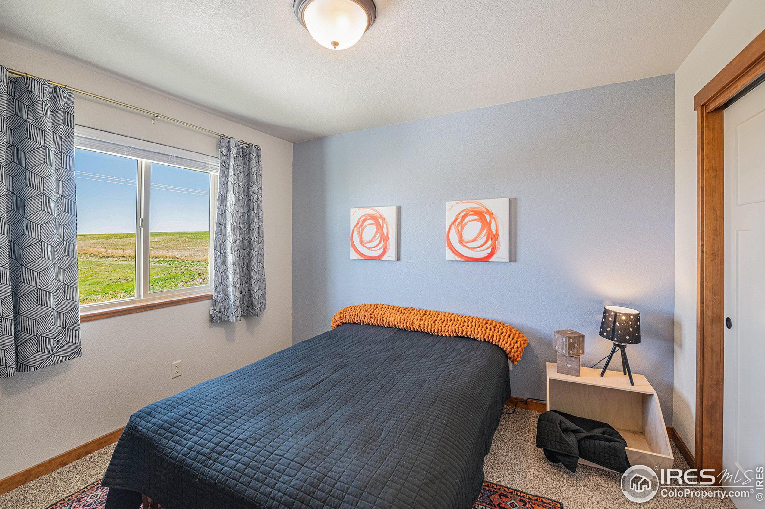 4494 Carlyle Ln, Wellington CO  80549-0023 exterior