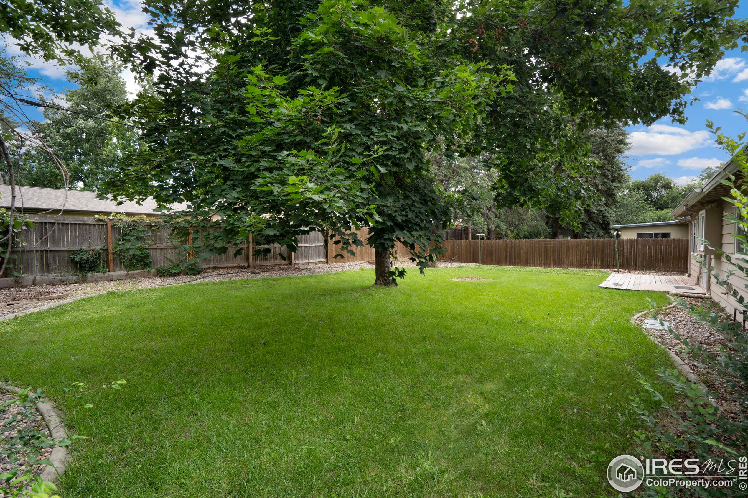 817 Balsam Ln, Fort Collins CO  80526-1901 exterior