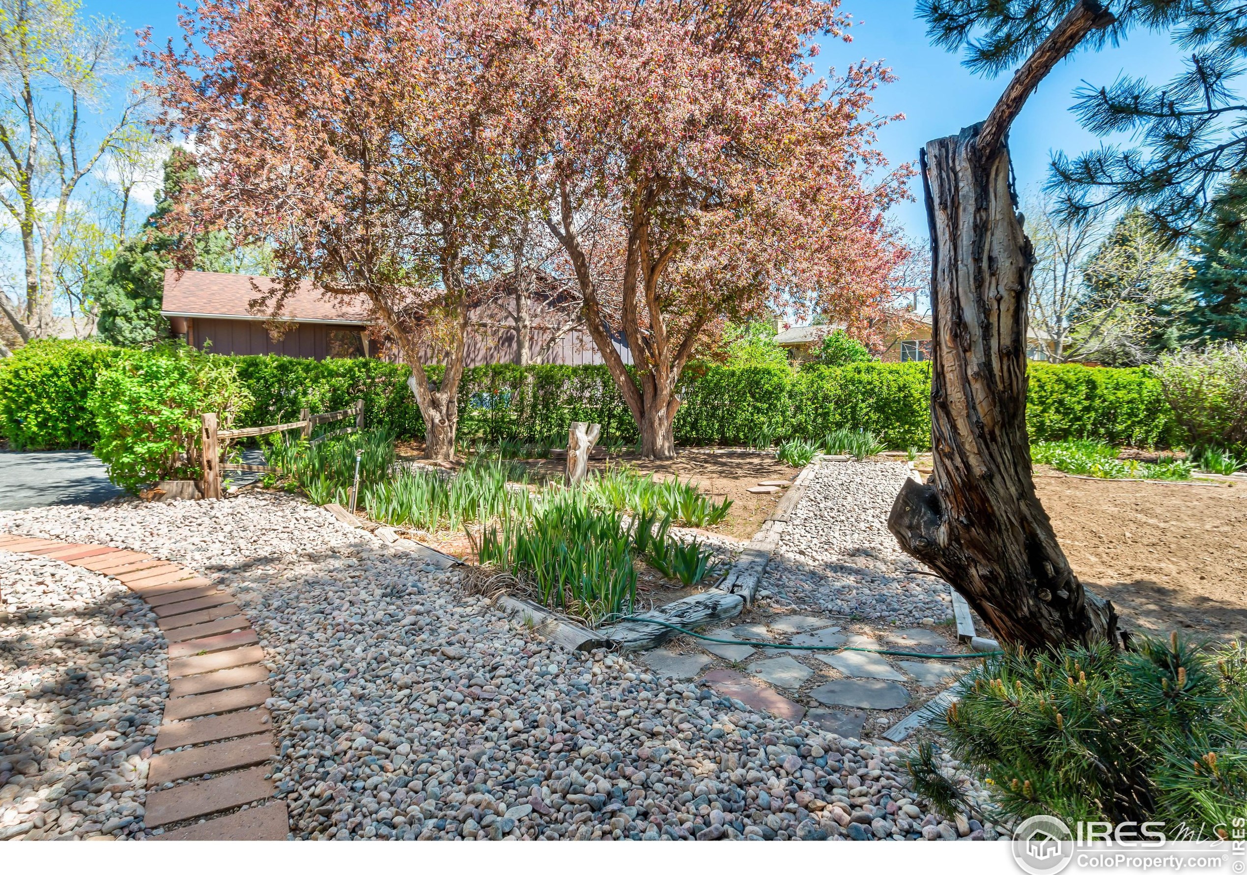 1817 Cannes Ct, Fort Collins CO  80524-1946 exterior