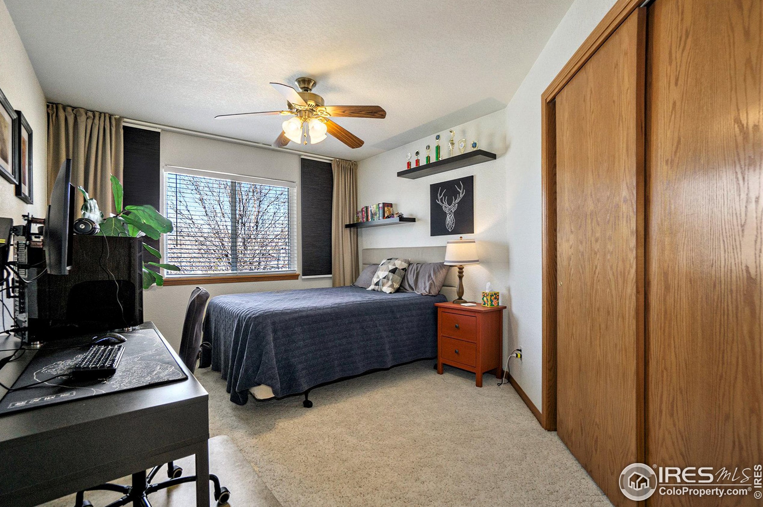 1163 Wabash St, Fort Collins CO  80526-3243 exterior