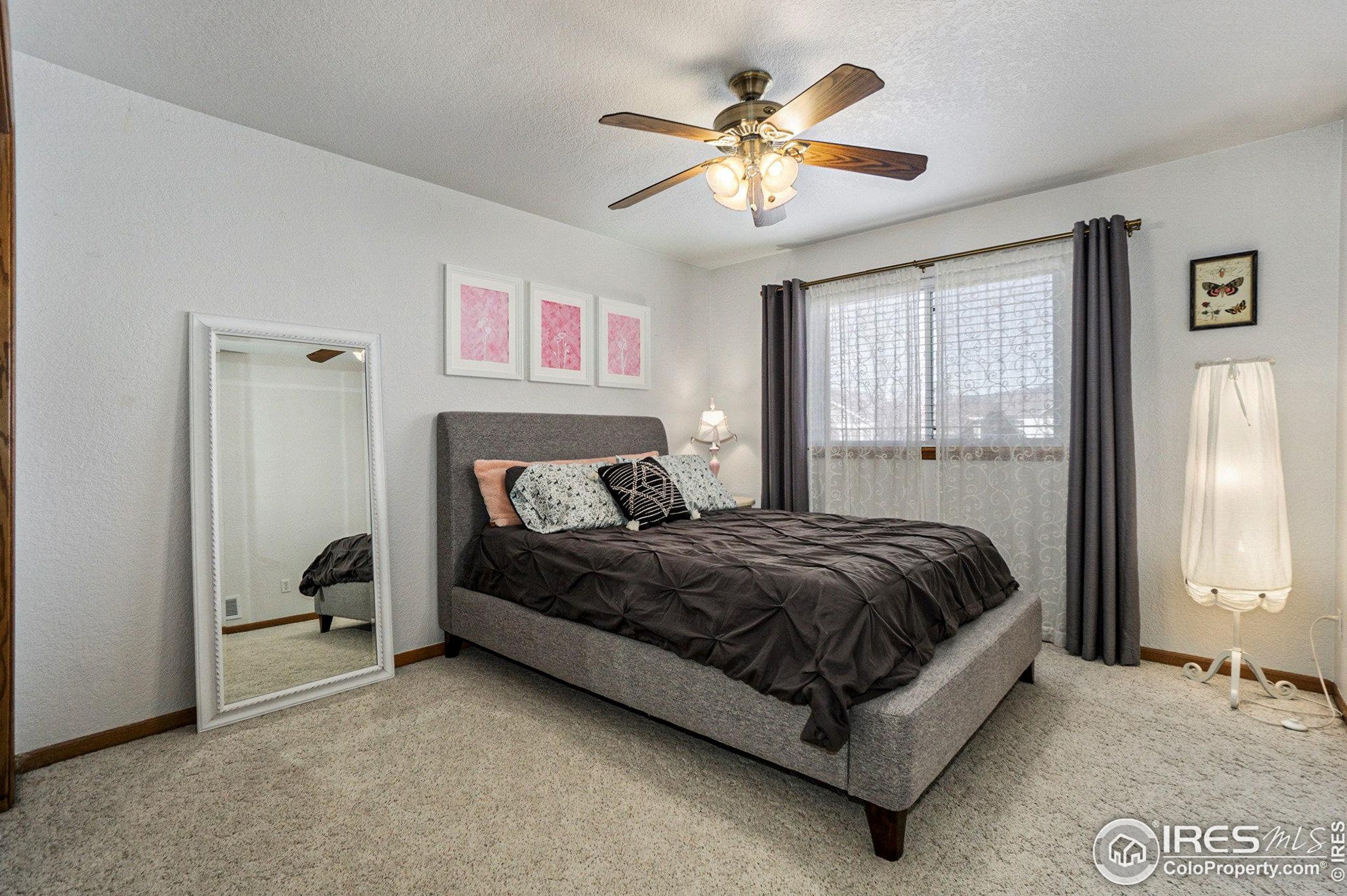 1163 Wabash St, Fort Collins CO  80526-3243 exterior