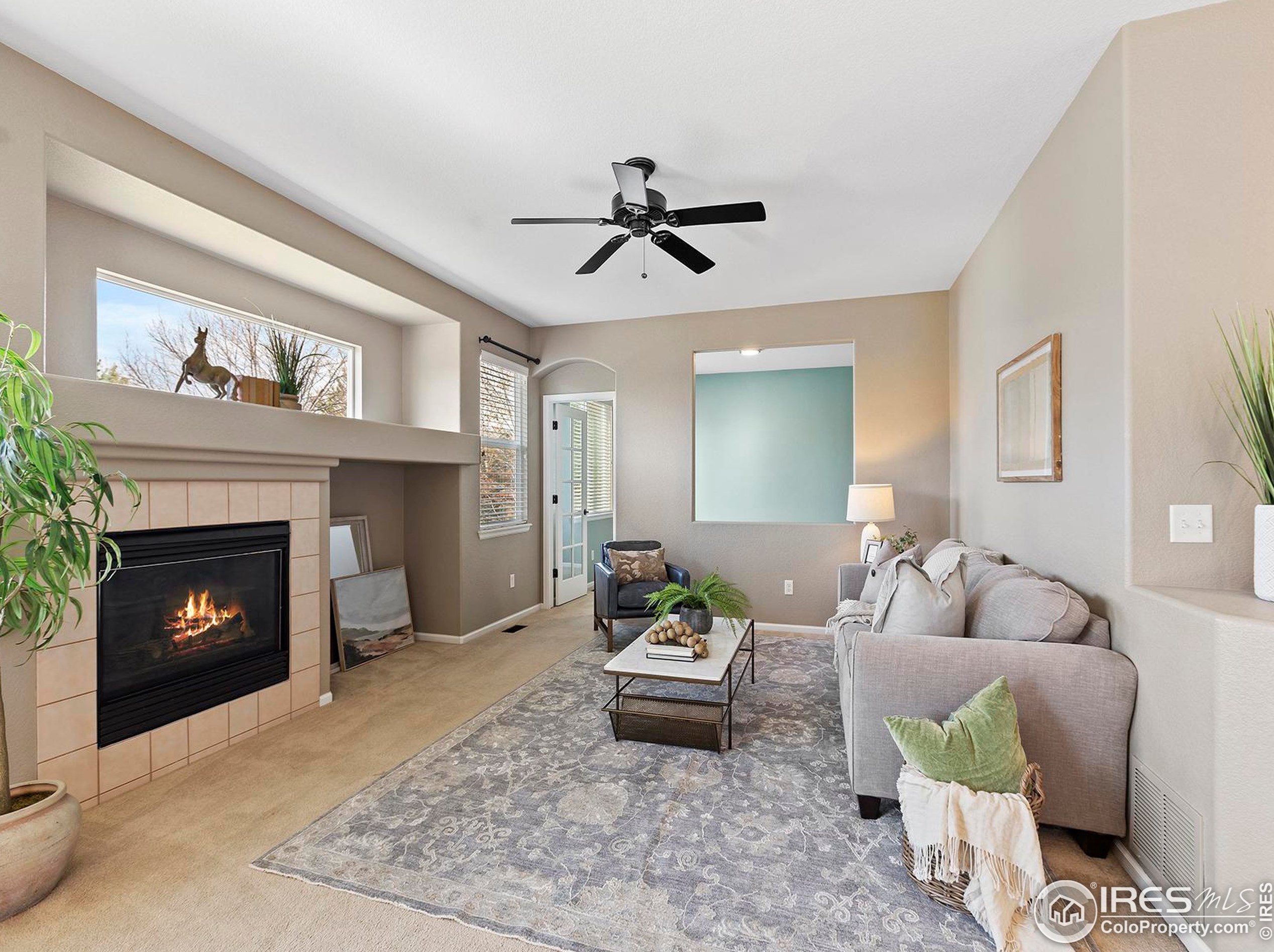 2203 Harvest St, Fort Collins CO  80528-7115 exterior