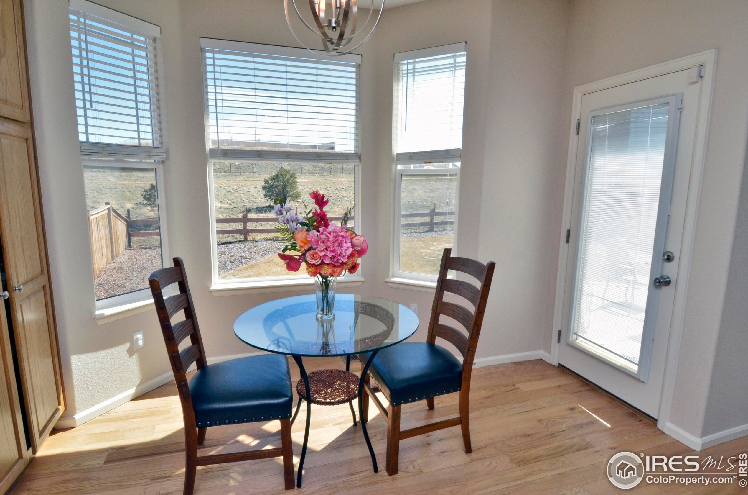 11854 Breeze Grass Way, Parker CO 80134-3162 exterior