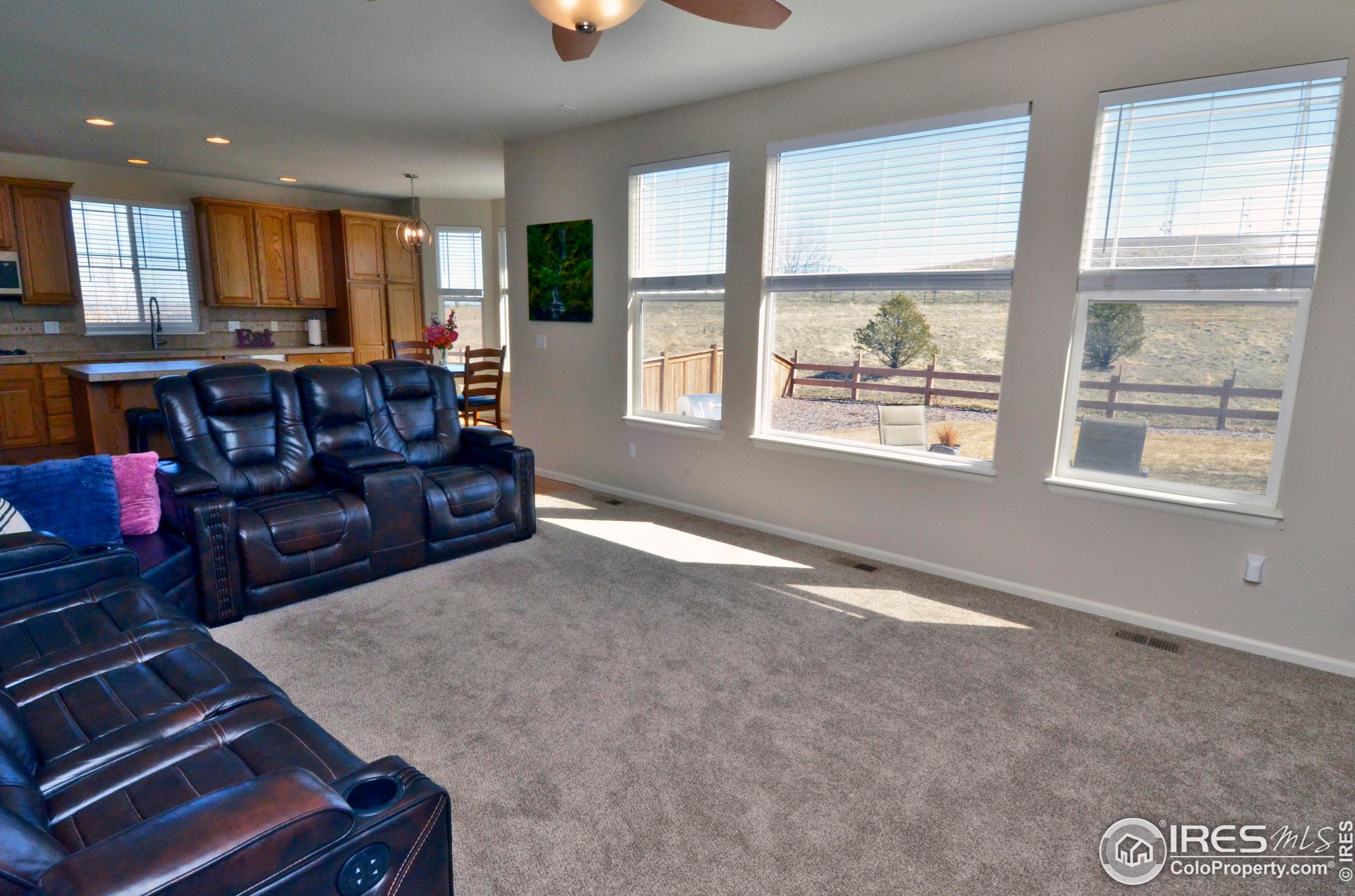 11854 Breeze Grass Way, Parker CO 80134-3162 exterior