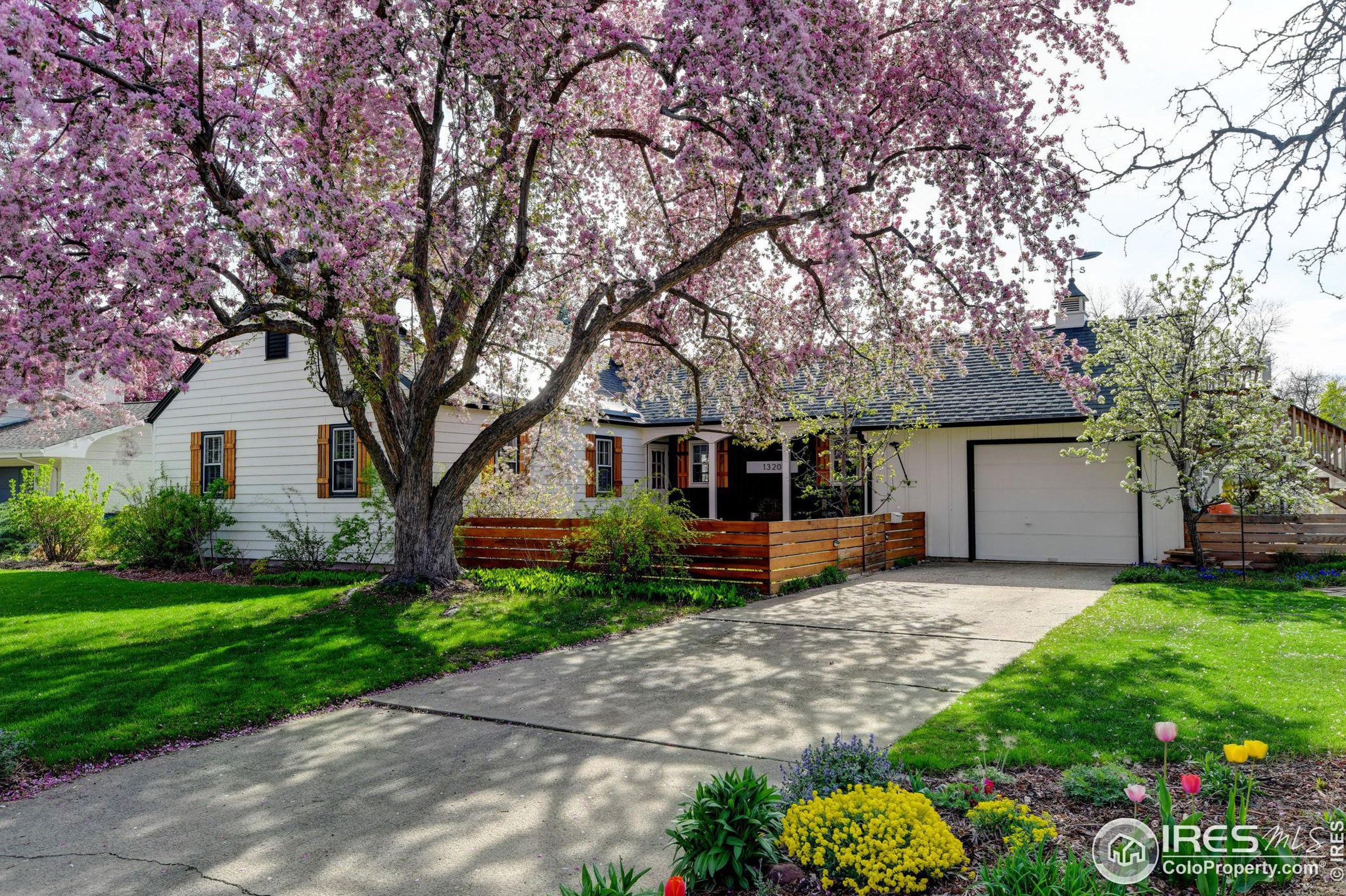 1320 Morgan St, Fort Collins, CO 80524-4215