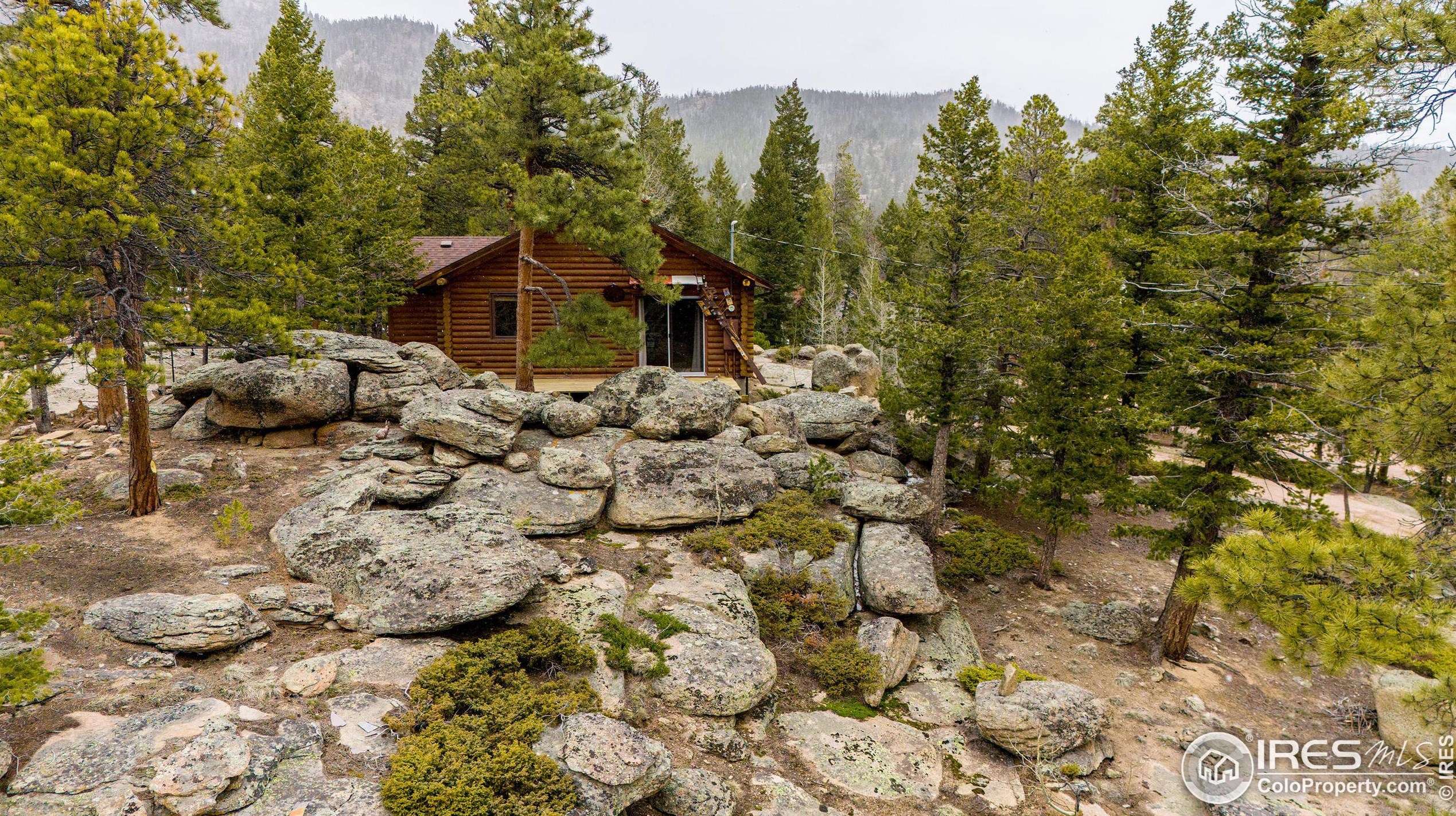 486 Okmulgee Cir, Red Feather Lakes CO 80545-8637 exterior