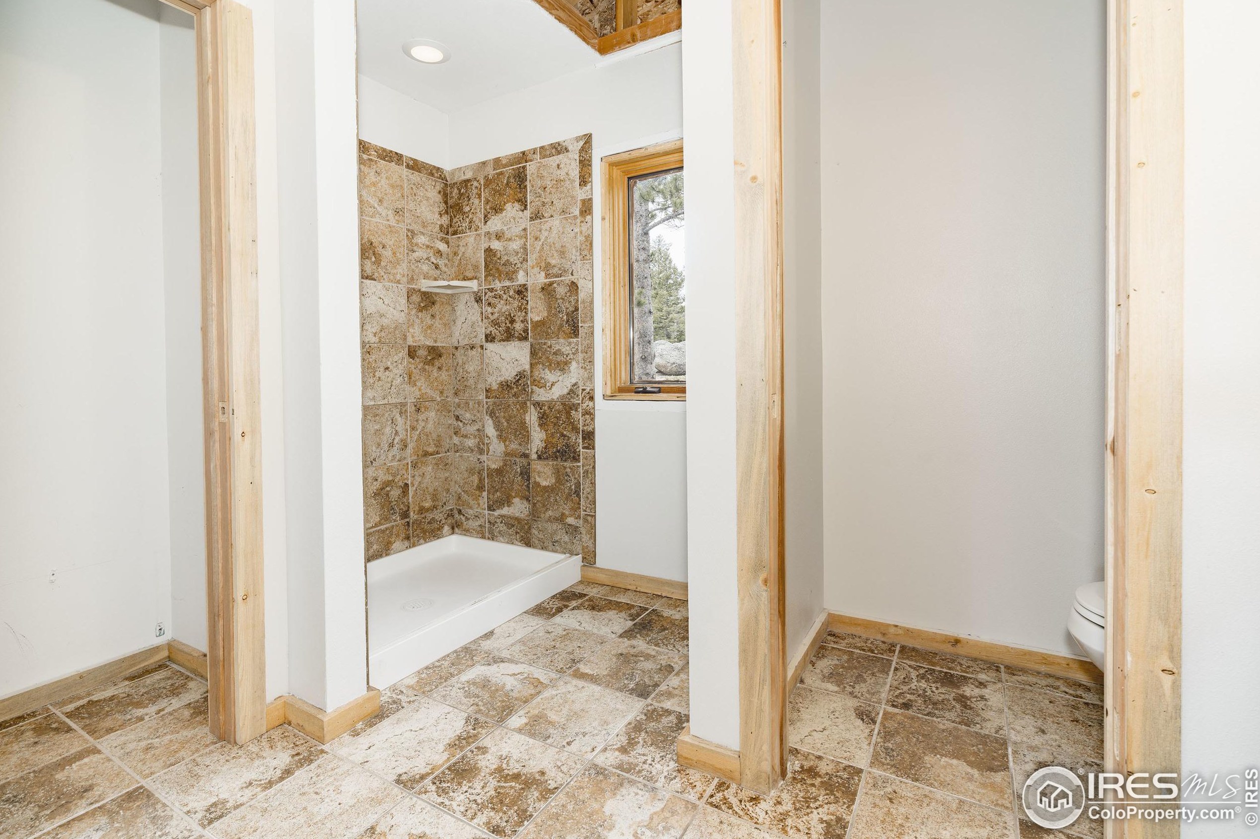 486 Okmulgee Cir, Red Feather Lakes CO 80545-8637 exterior