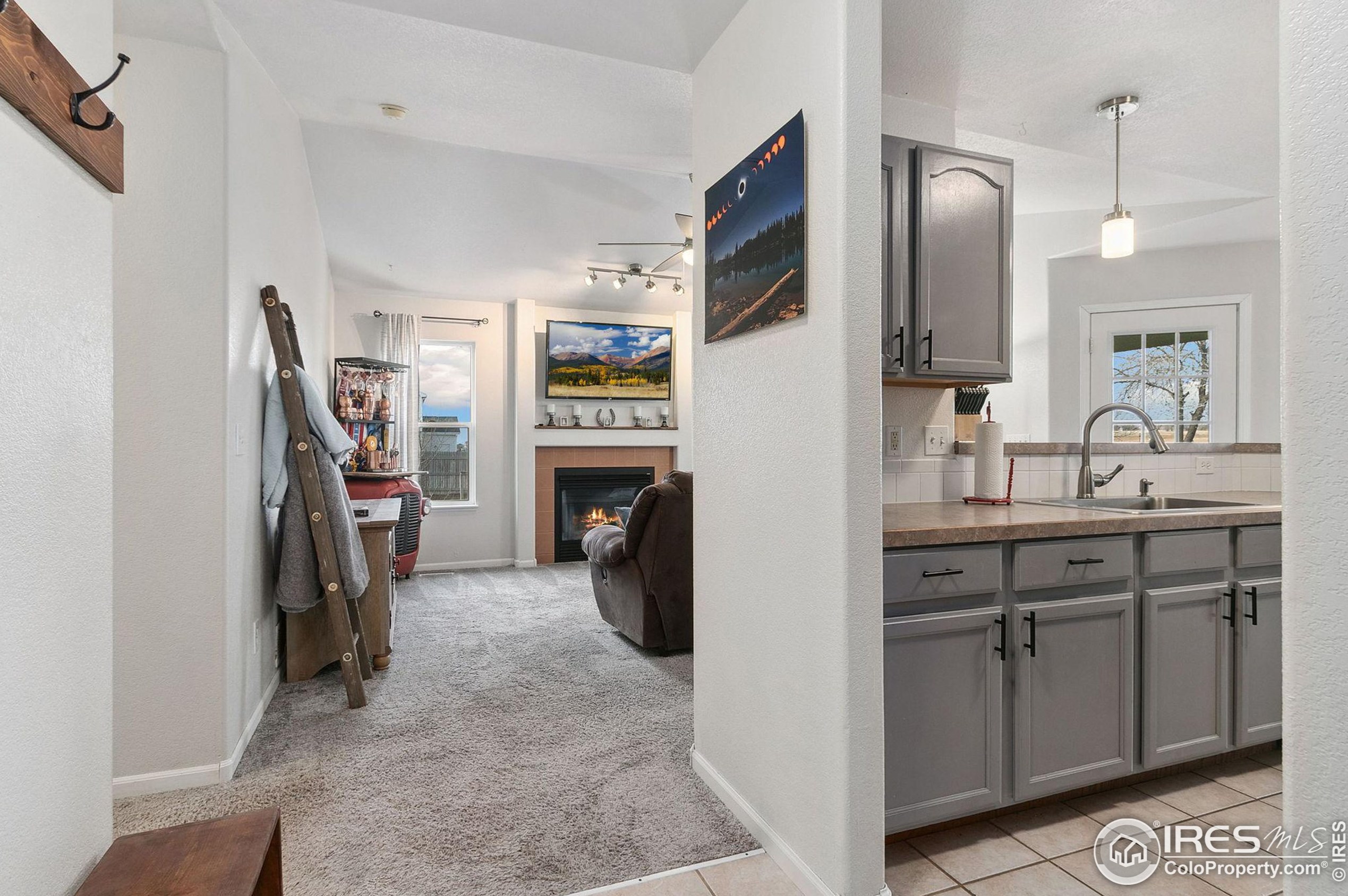 7367 Vw Pointe Cir, Wellington CO 80549-1663 exterior