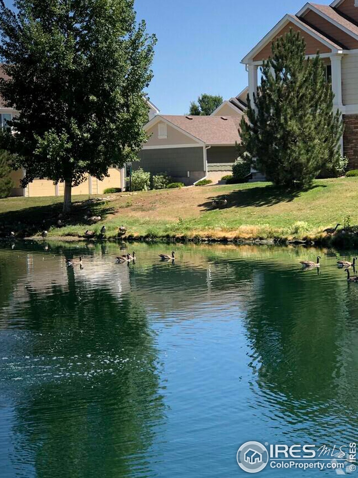 4815 Hahns Peak Dr, Loveland CO 80538-6172 exterior