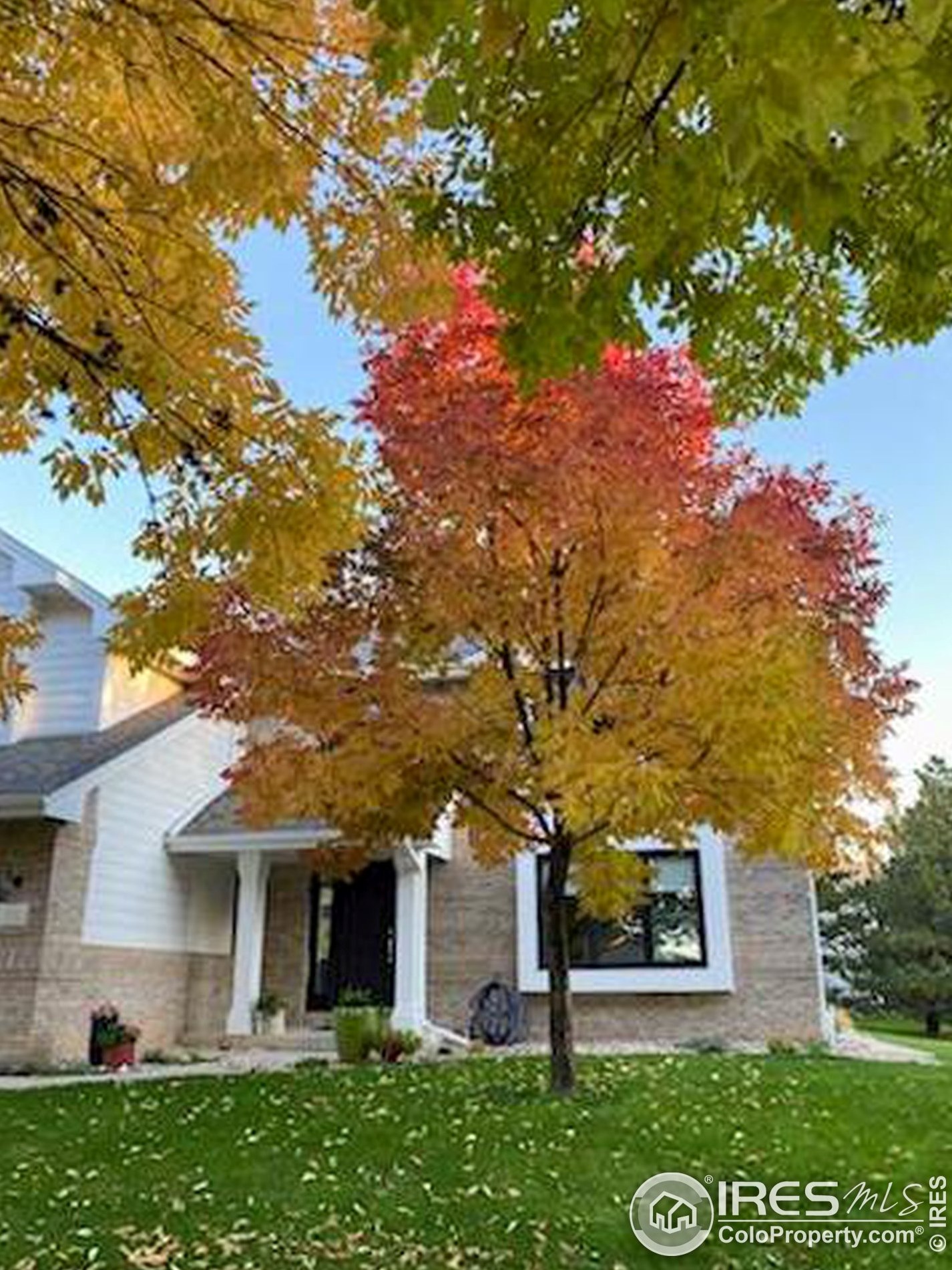 2531 Glen Isle Dr, Loveland CO  80538-5387 exterior