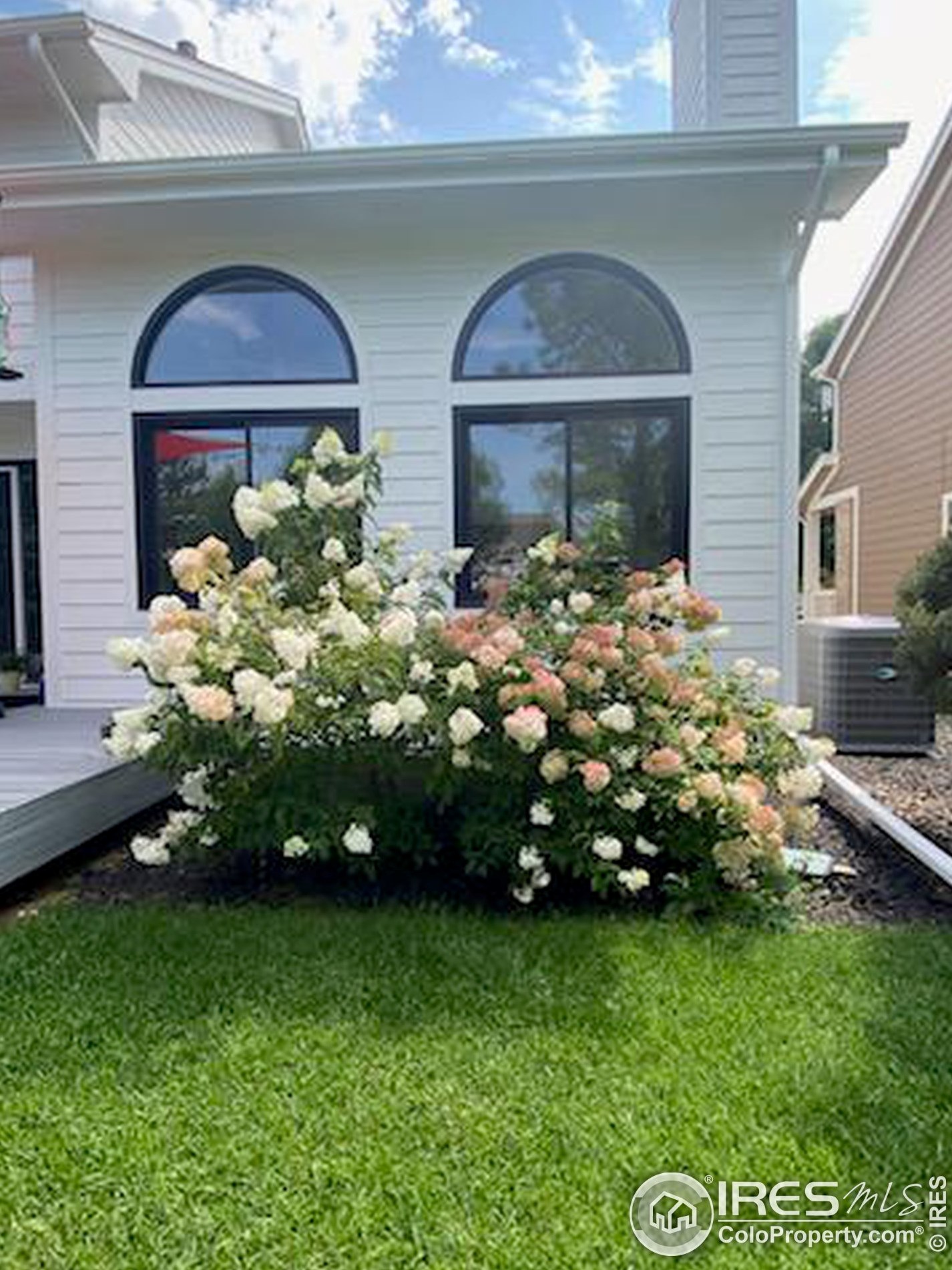 2531 Glen Isle Dr, Loveland CO  80538-5387 exterior