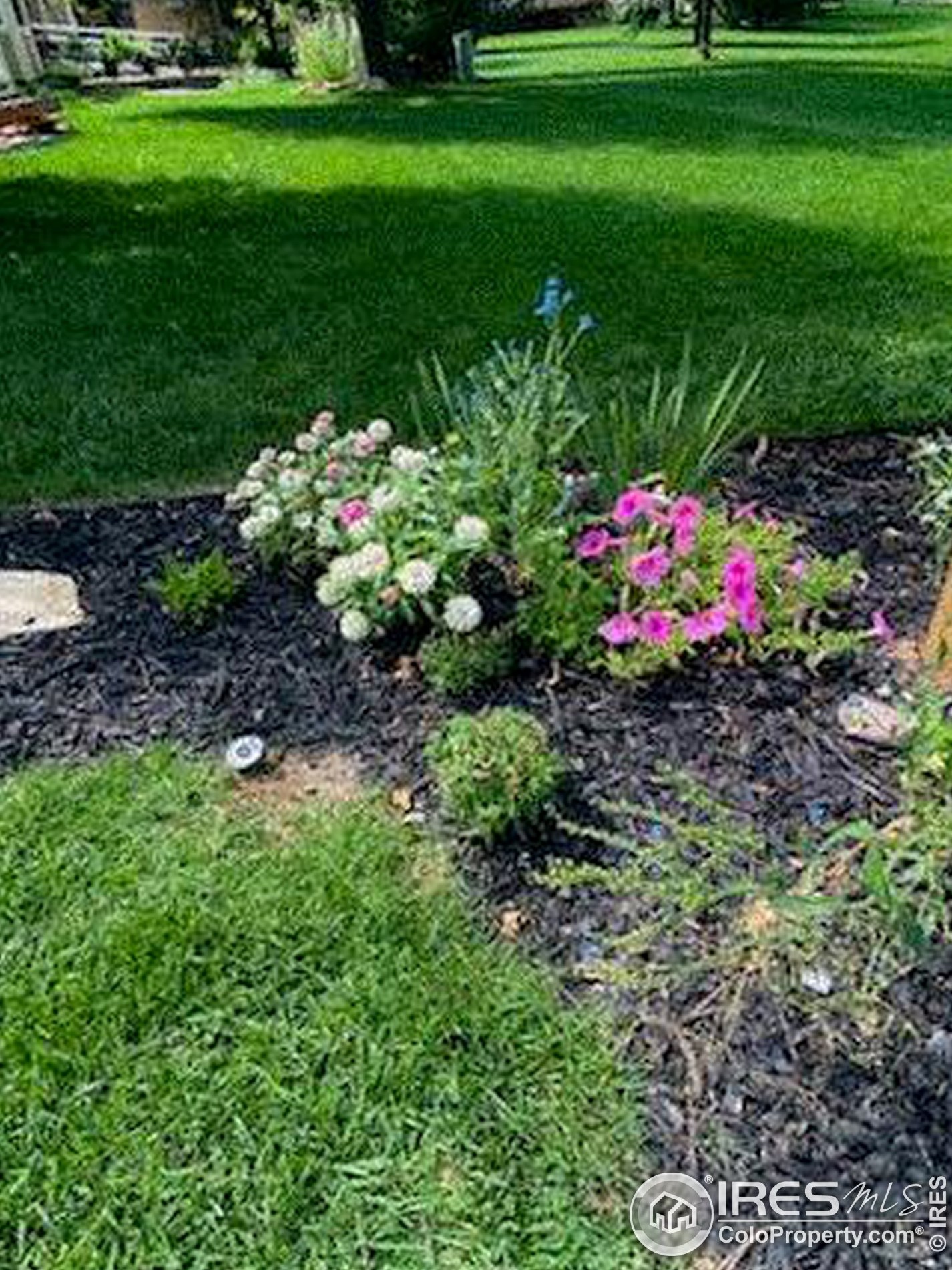 2531 Glen Isle Dr, Loveland CO  80538-5387 exterior