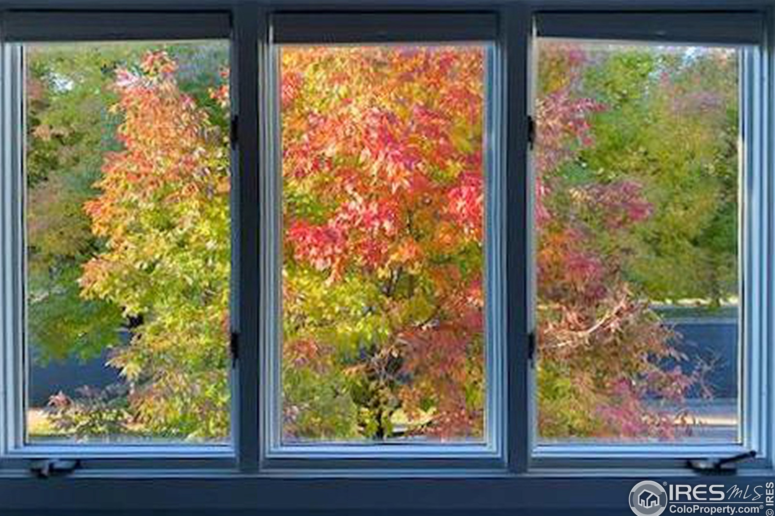 2531 Glen Isle Dr, Loveland CO  80538-5387 exterior