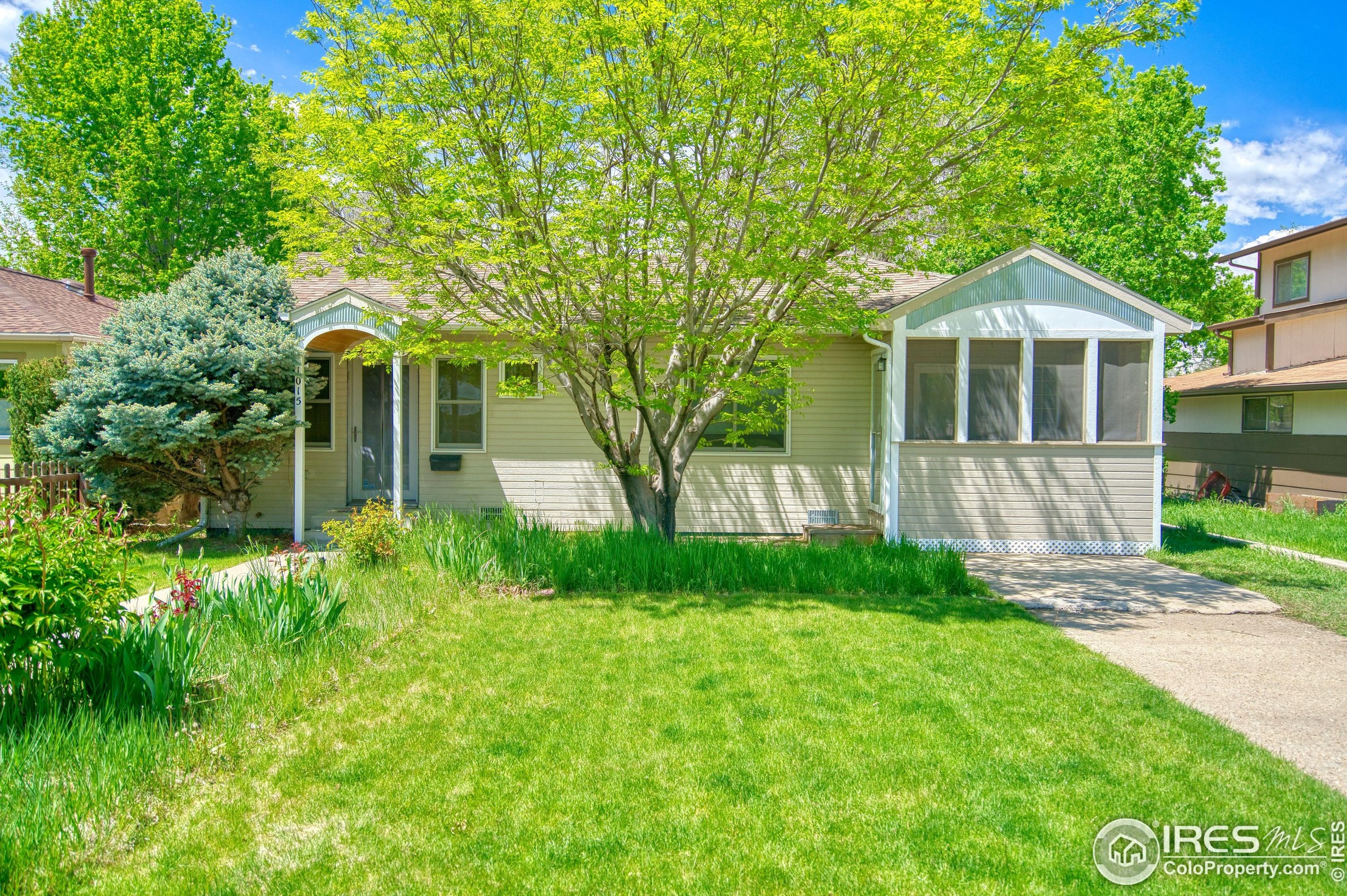 1015 Venice St, Longmont, CO 80501