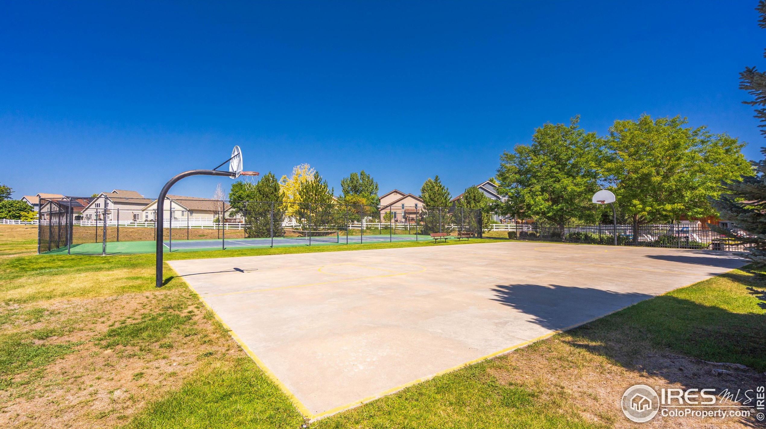 1233 Intrepid Dr, Fort Collins CO  80526-9656 exterior