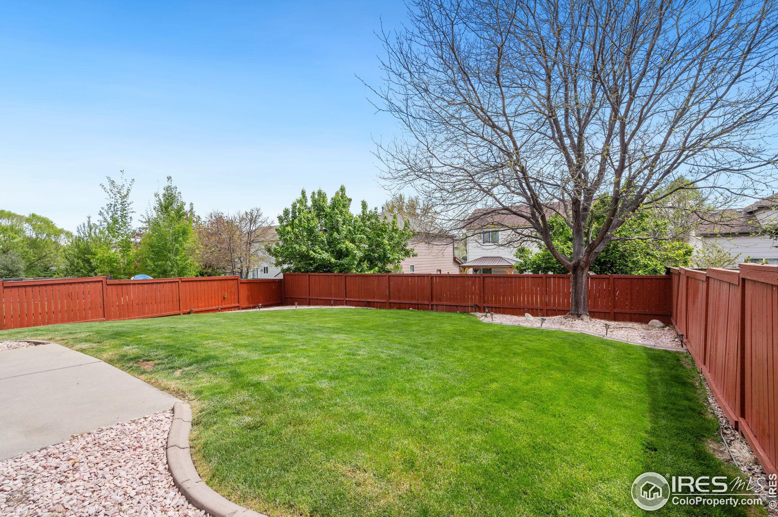 1233 Intrepid Dr, Fort Collins CO  80526-9656 exterior
