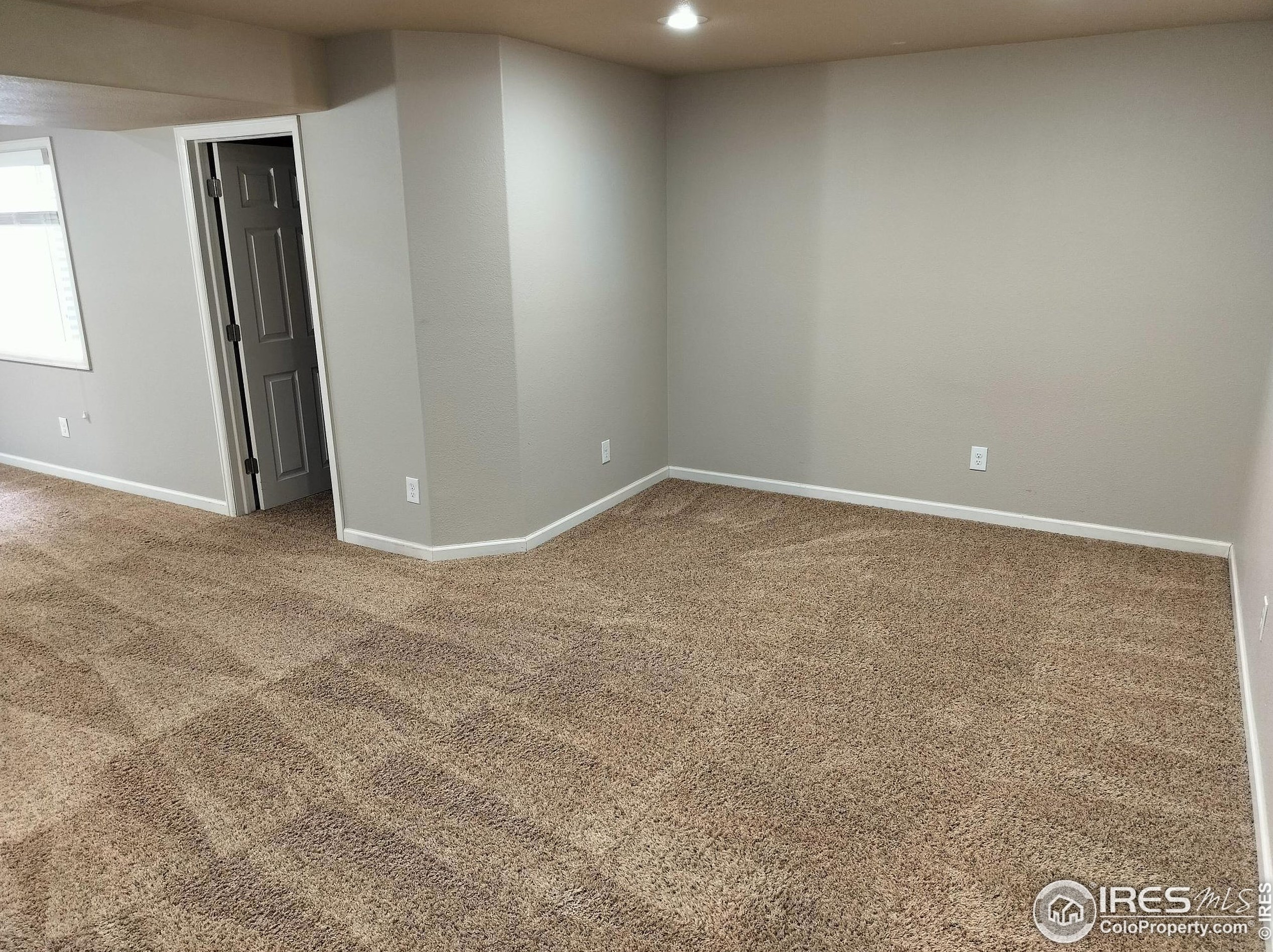 3362 Man O War Dr, Wellington CO 80549-3220 exterior