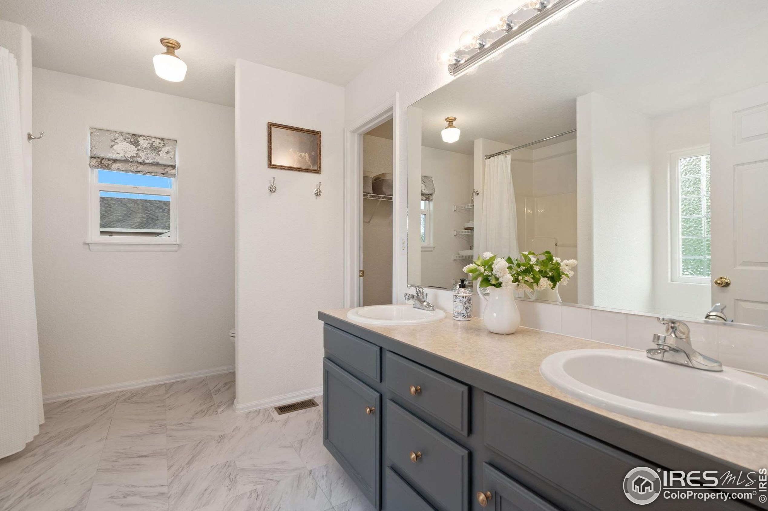 624 Scotch Pine Dr, Fort Collins CO  80550-2654 exterior