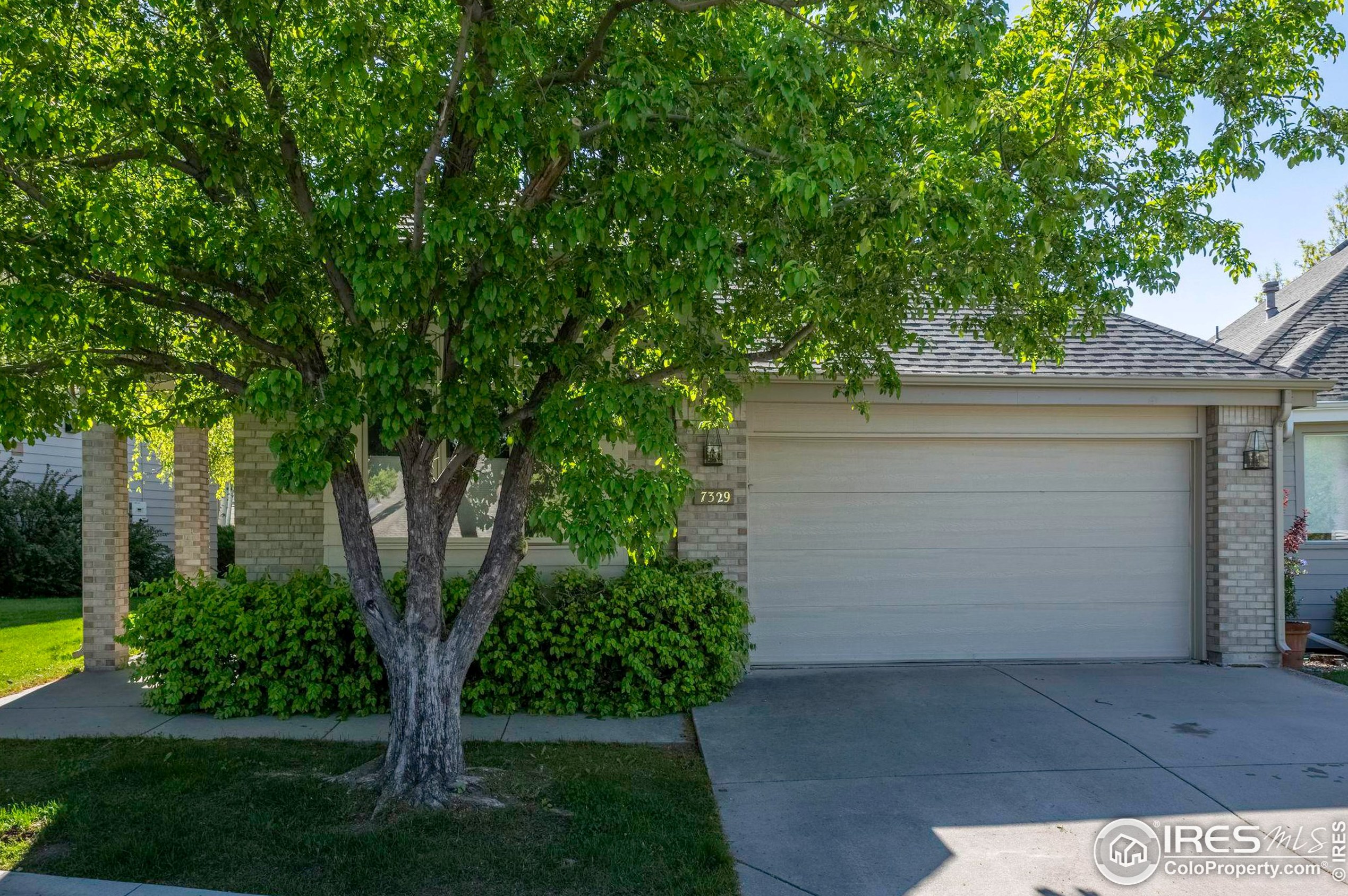 7329 Windsor Dr, Boulder, CO 80301-3730
