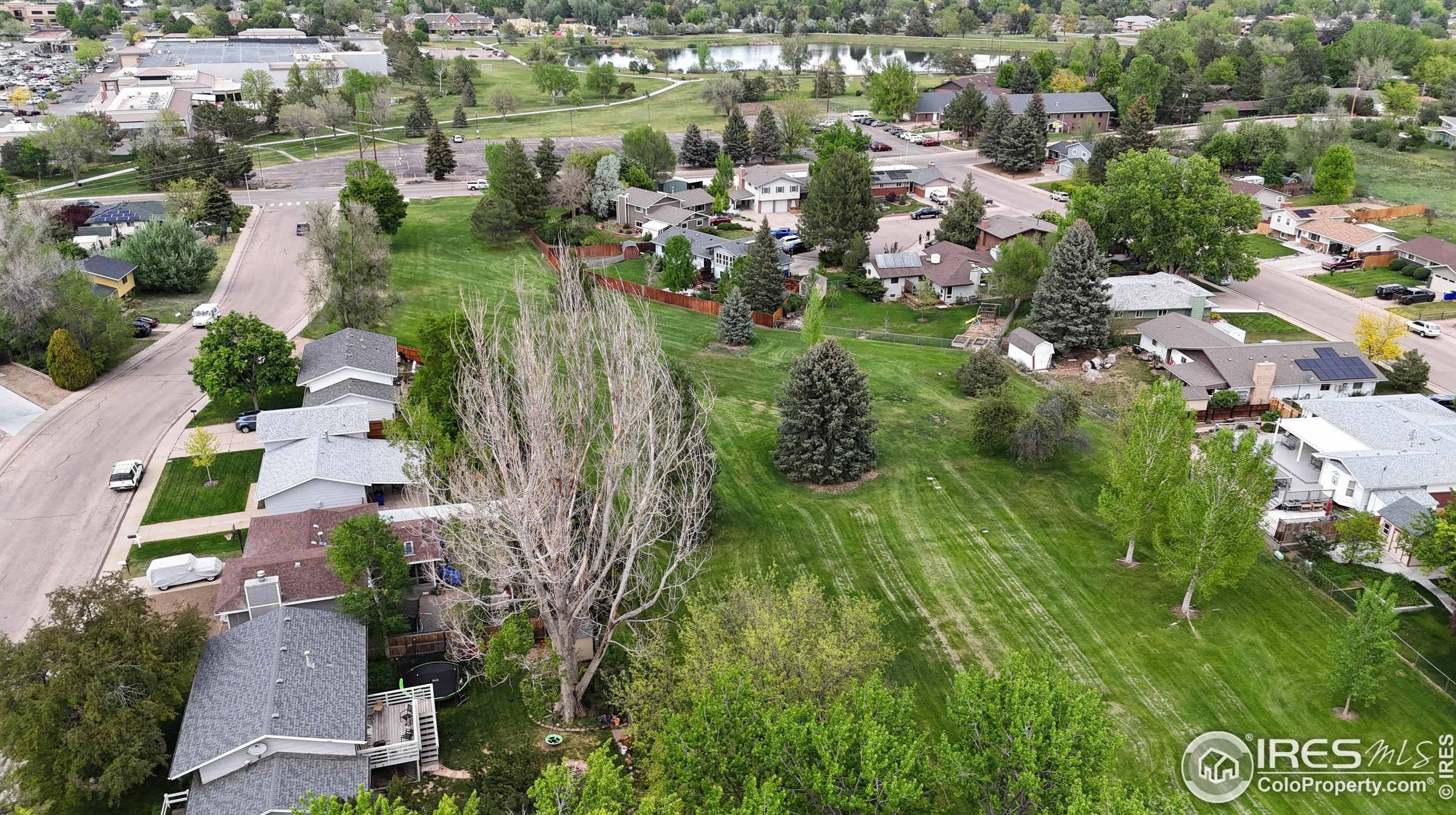 2203 Mountair Ln, Greeley CO 80634-7552 exterior