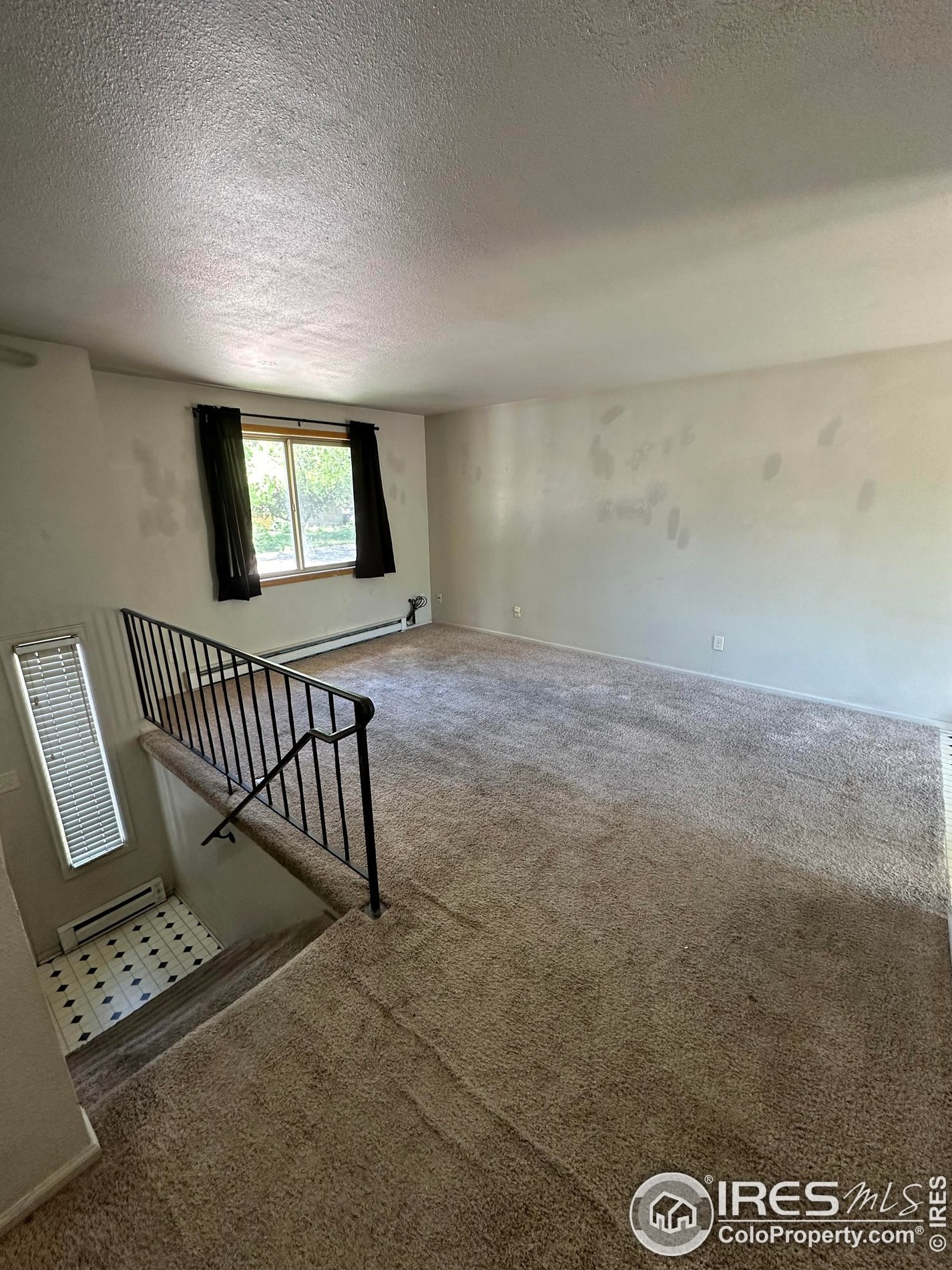 806 Pear St, Fort Collins CO  80521-3118 exterior