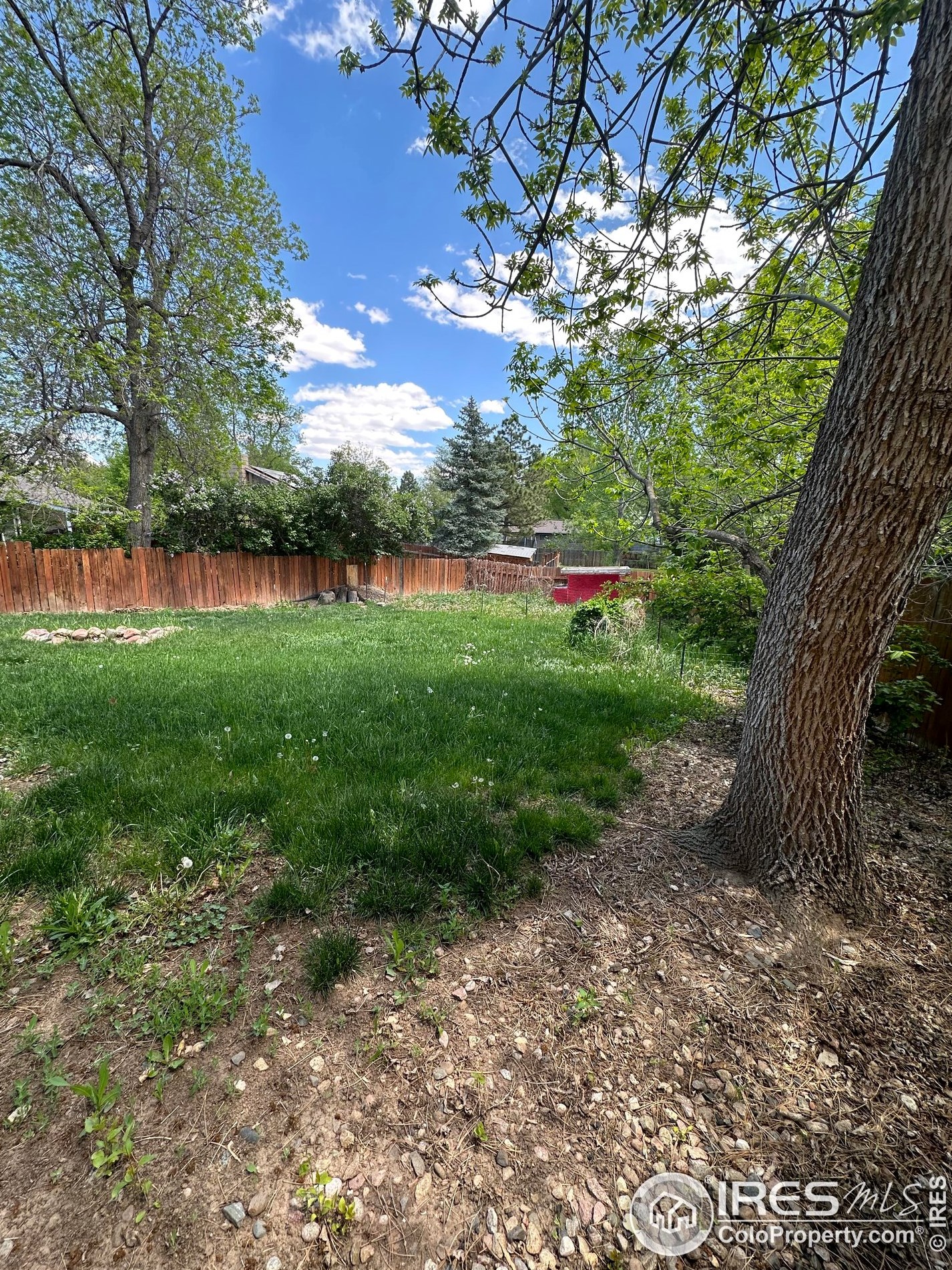 806 Pear St, Fort Collins CO  80521-3118 exterior