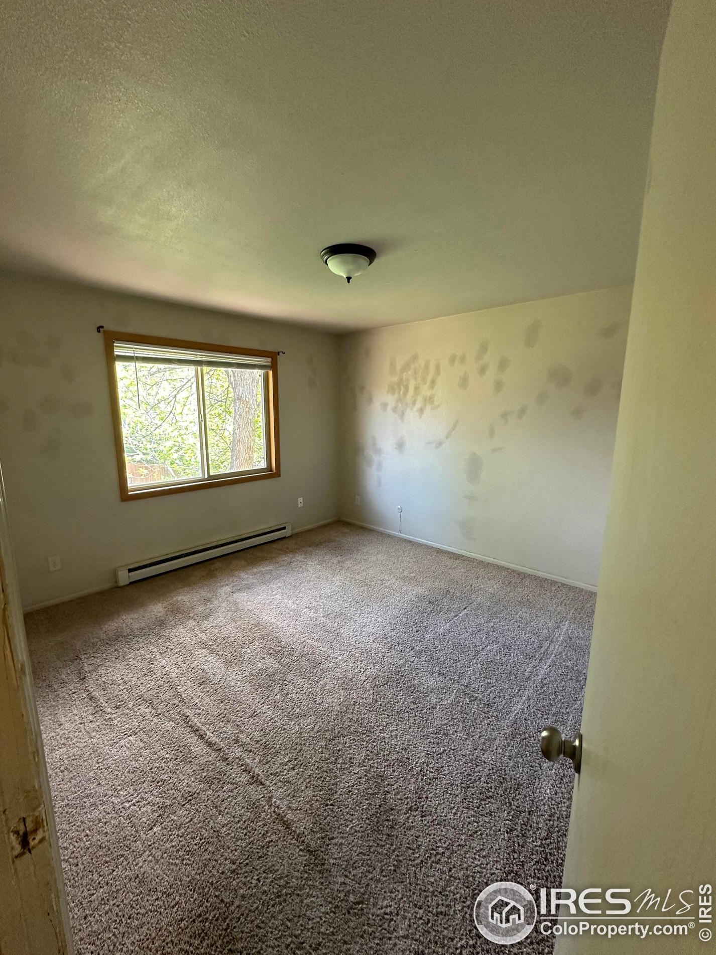 806 Pear St, Fort Collins CO  80521-3118 exterior
